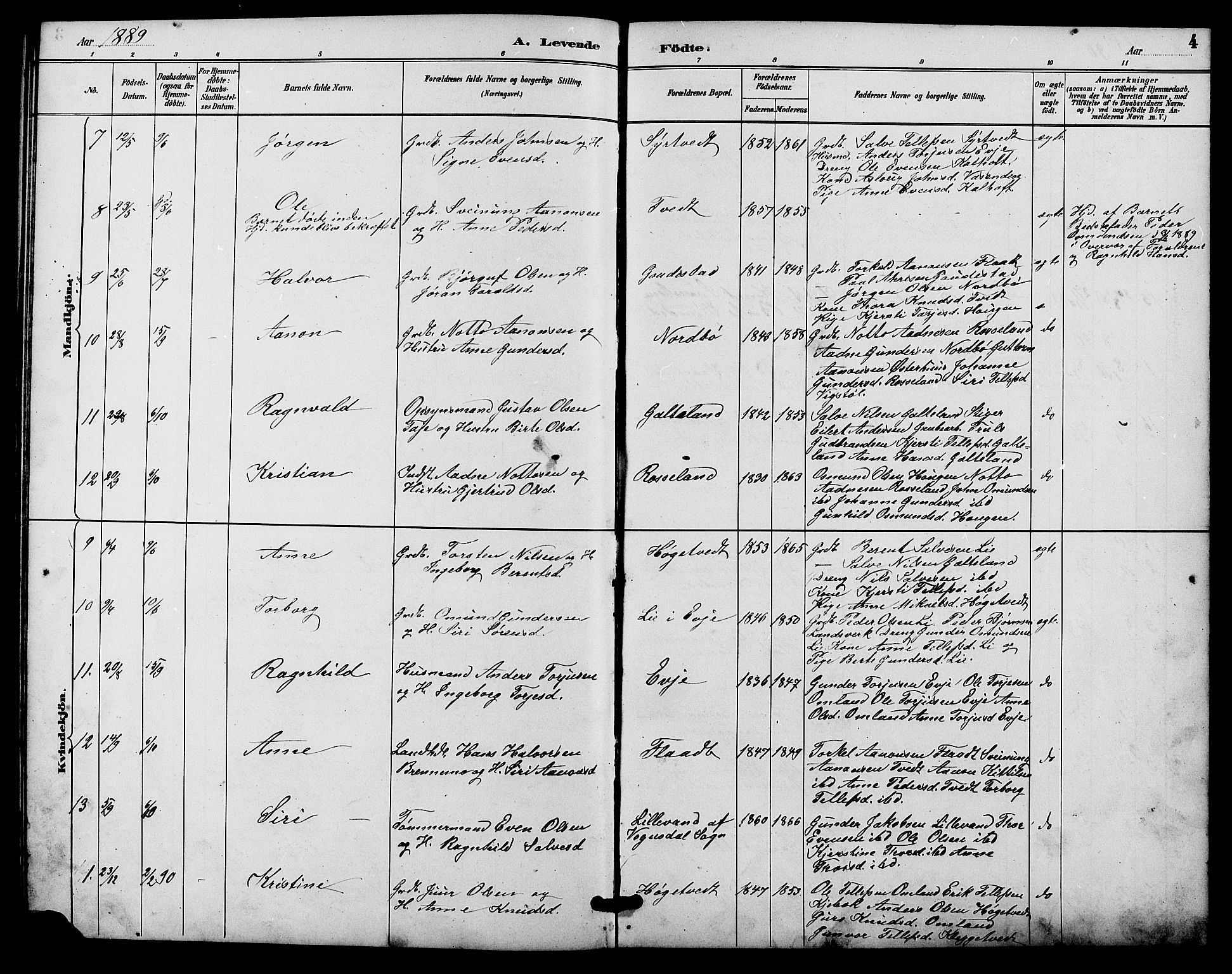 Evje sokneprestkontor, SAK/1111-0008/F/Fb/Fba/L0003: Parish register (copy) no. B 3, 1888-1903, p. 4