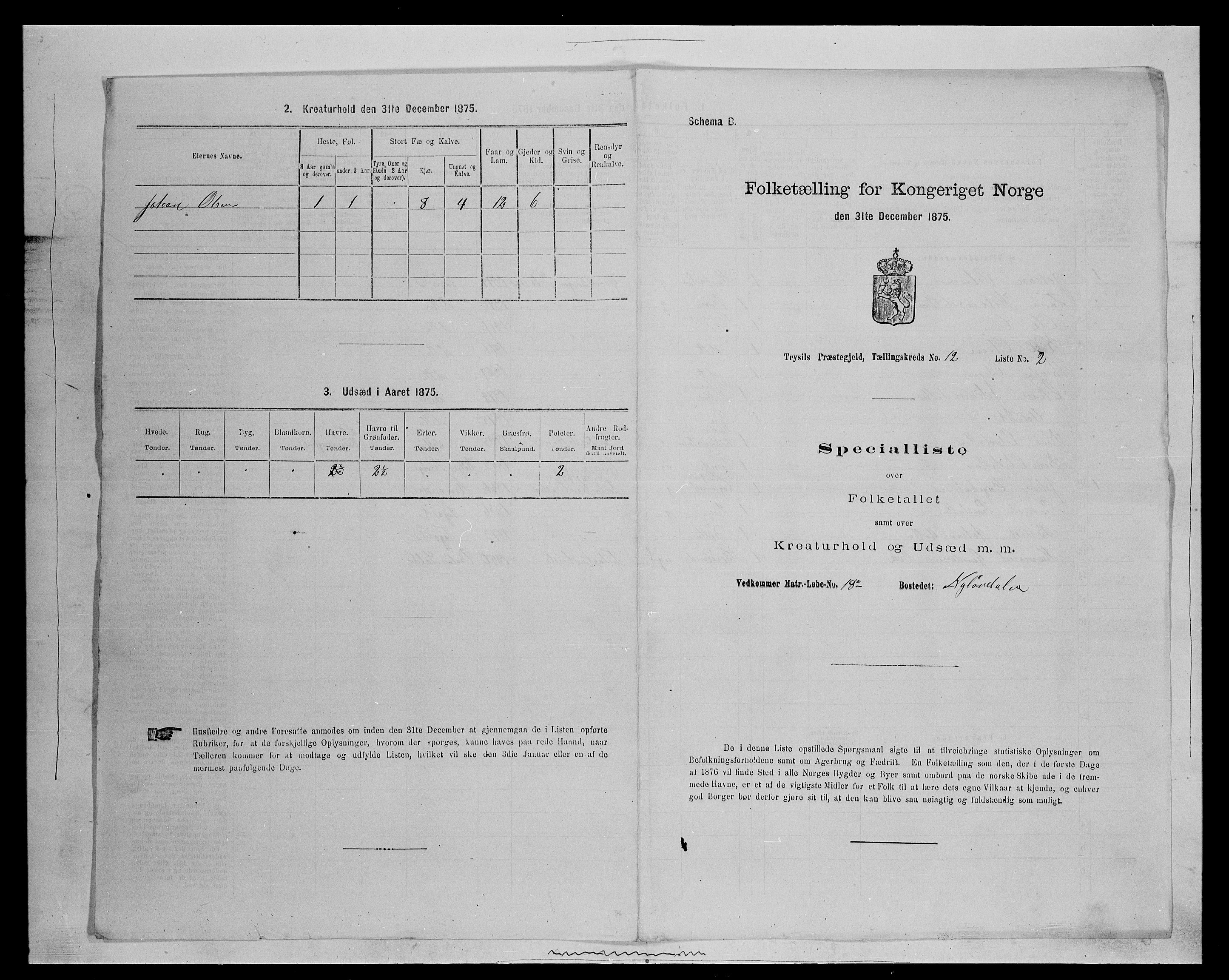 SAH, 1875 census for 0428P Trysil, 1875, p. 1328