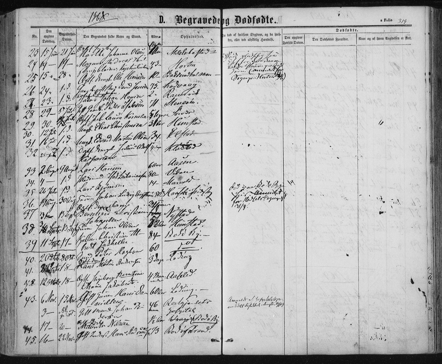 Ministerialprotokoller, klokkerbøker og fødselsregistre - Nordland, SAT/A-1459/801/L0008: Parish register (official) no. 801A08, 1864-1875, p. 319
