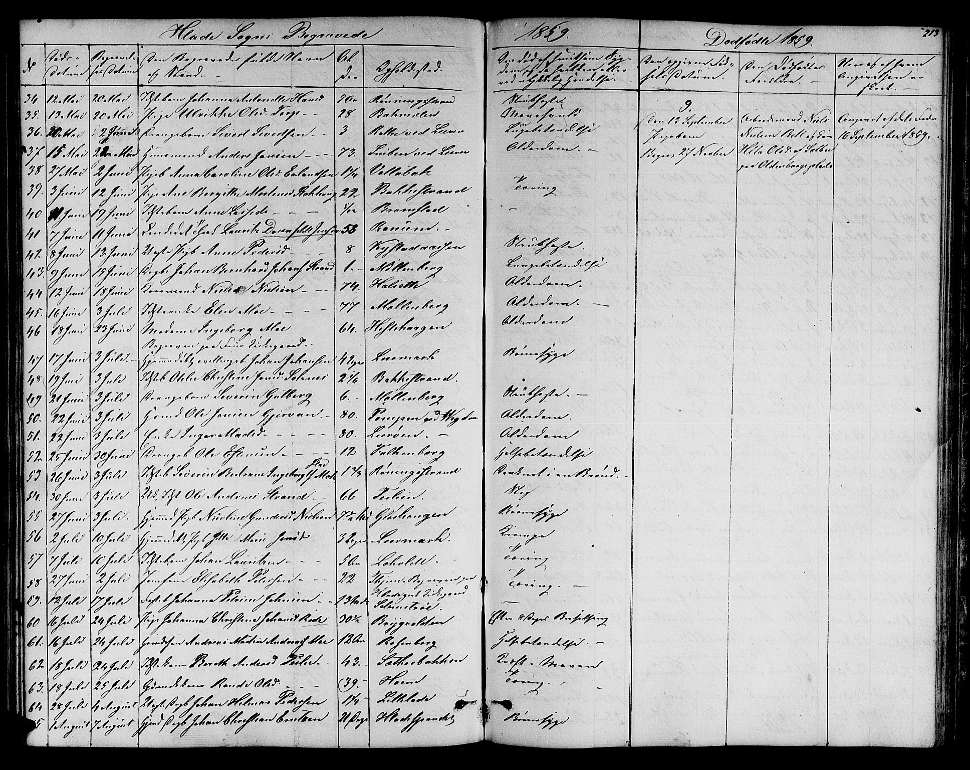 Ministerialprotokoller, klokkerbøker og fødselsregistre - Sør-Trøndelag, SAT/A-1456/606/L0310: Parish register (copy) no. 606C06, 1850-1859, p. 213