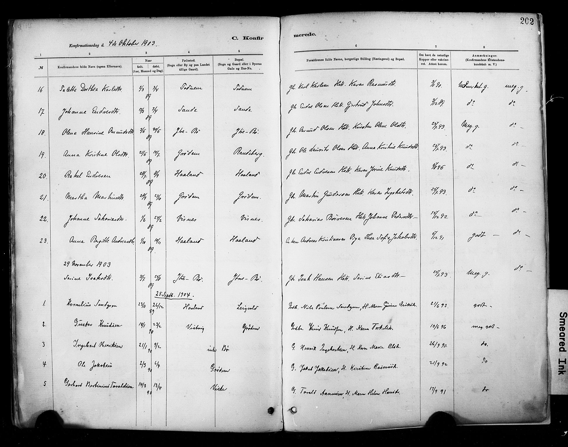 Hetland sokneprestkontor, SAST/A-101826/30/30BA/L0009: Parish register (official) no. A 9, 1882-1918, p. 202