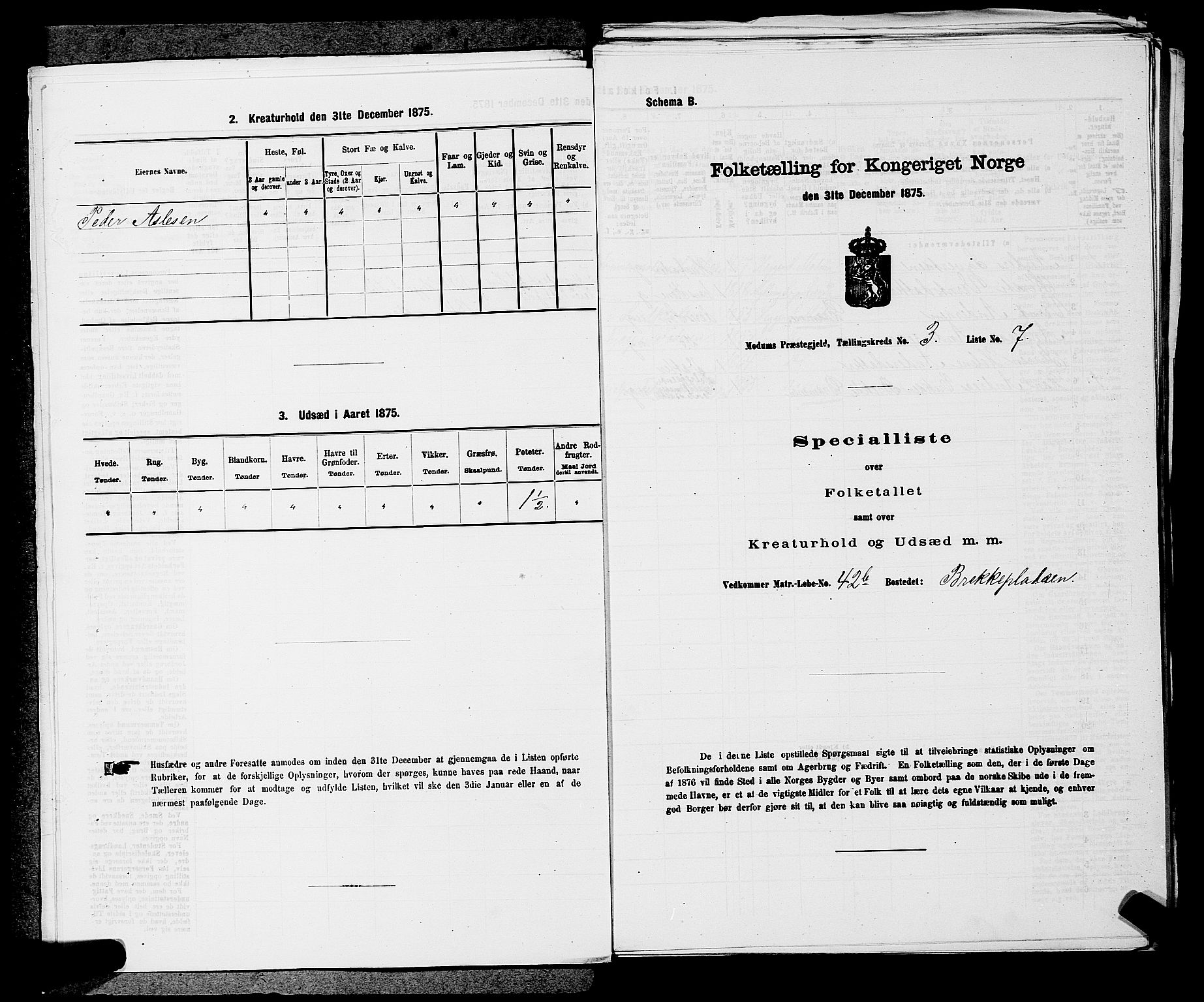 SAKO, 1875 census for 0623P Modum, 1875, p. 322