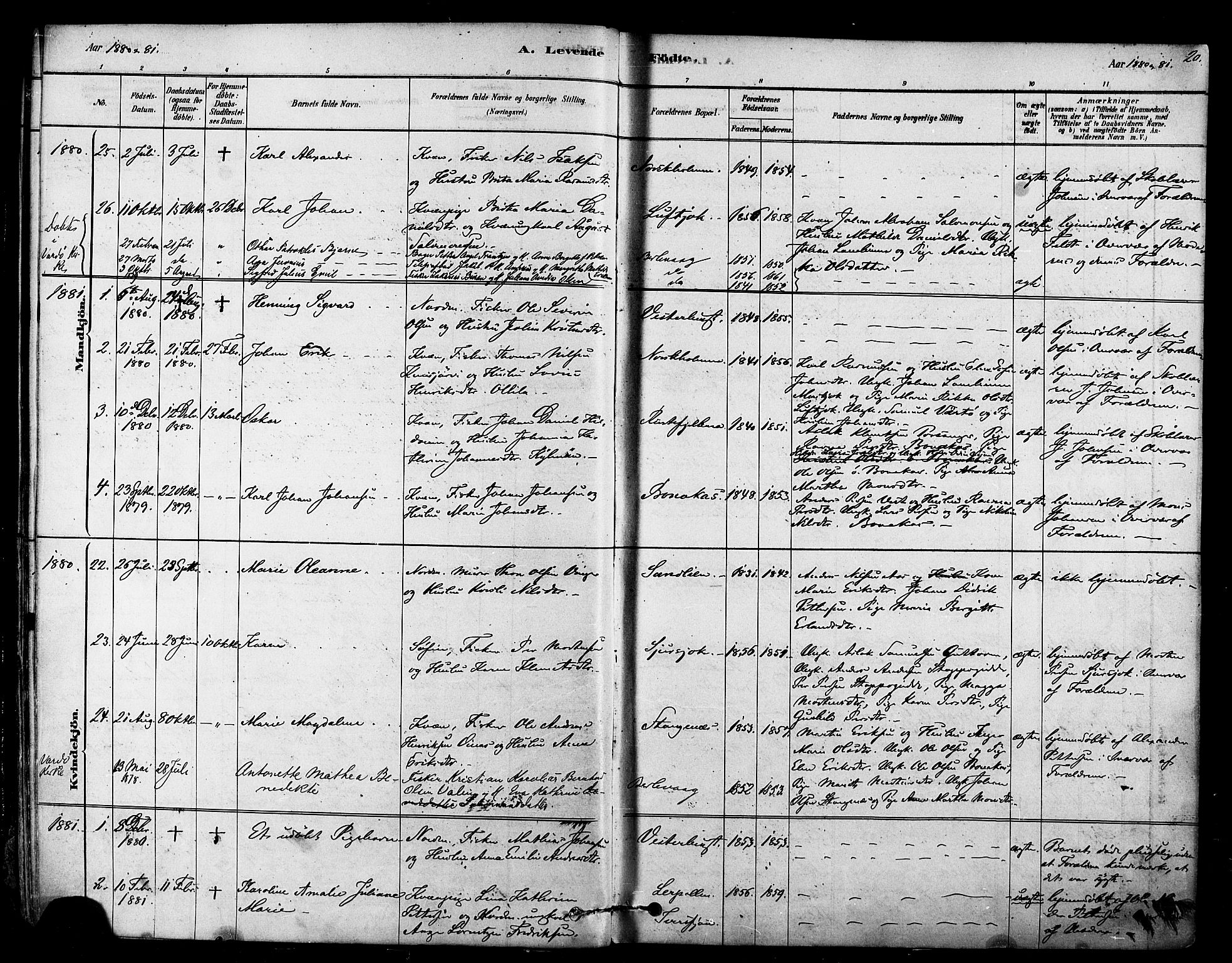 Tana sokneprestkontor, SATØ/S-1334/H/Ha/L0004kirke: Parish register (official) no. 4, 1878-1891, p. 20