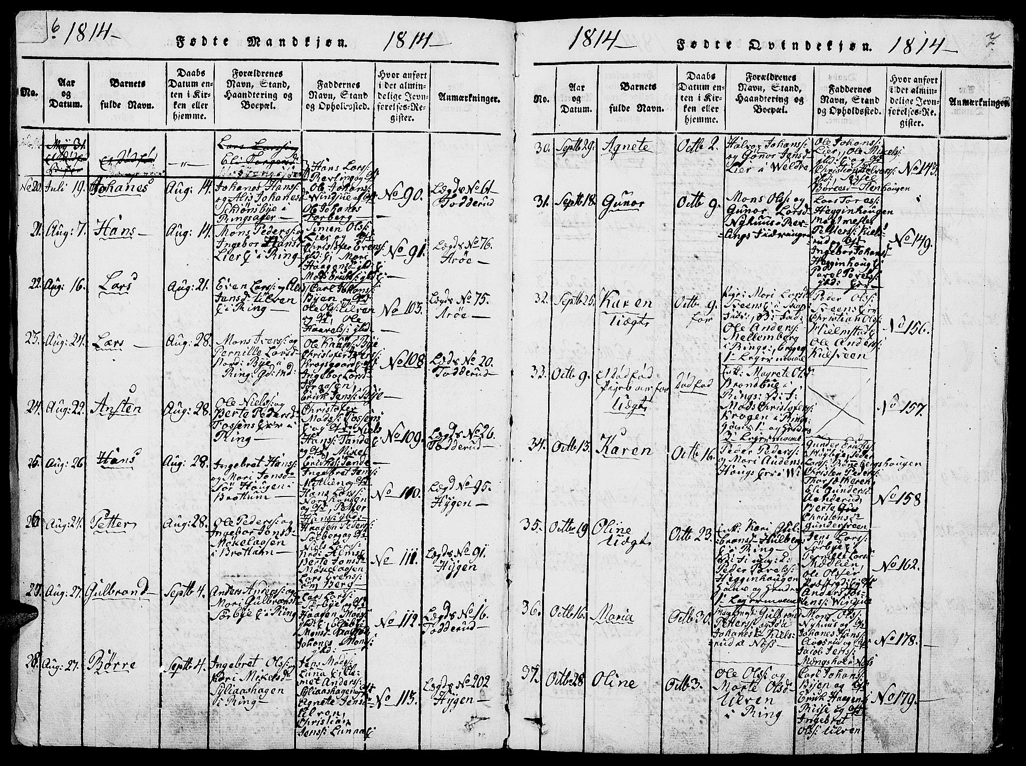 Ringsaker prestekontor, AV/SAH-PREST-014/L/La/L0001: Parish register (copy) no. 1, 1814-1826, p. 6-7