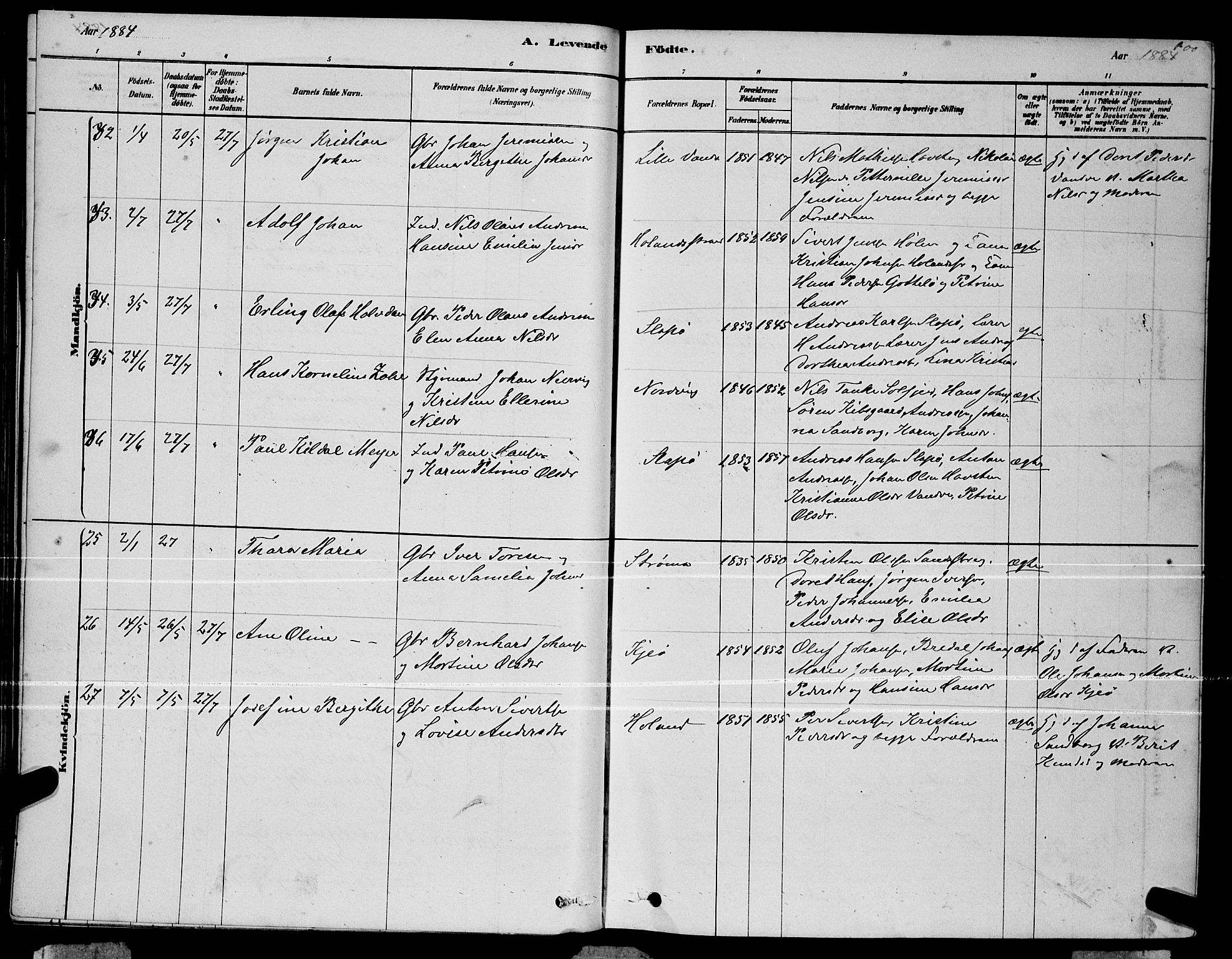 Ministerialprotokoller, klokkerbøker og fødselsregistre - Nordland, AV/SAT-A-1459/834/L0513: Parish register (copy) no. 834C04, 1877-1892, p. 100