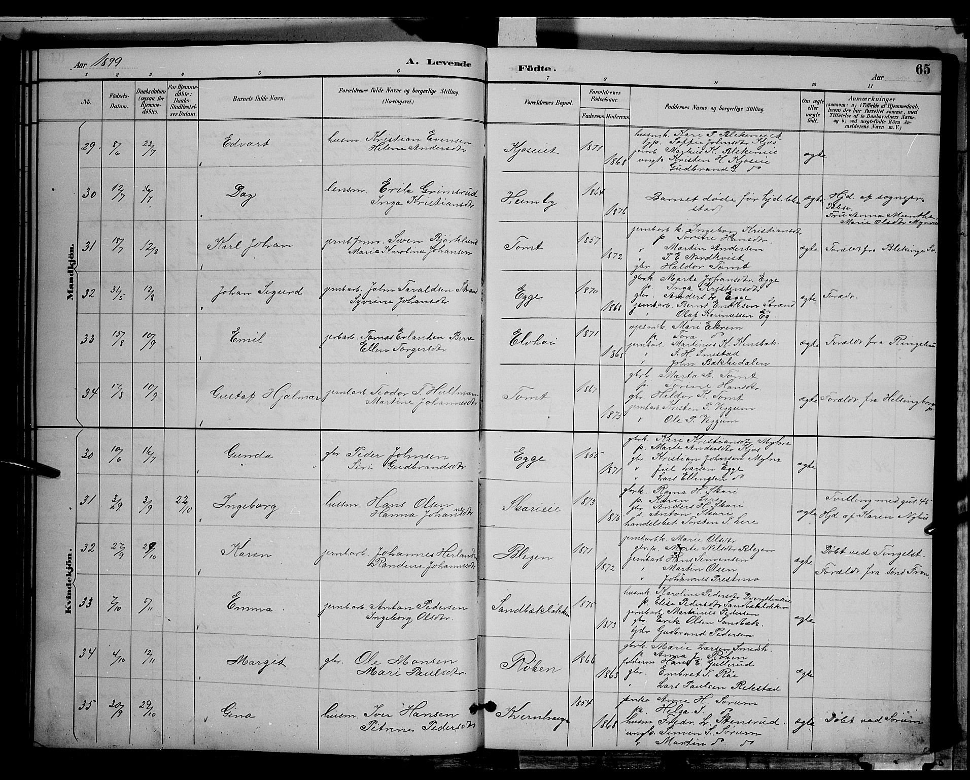 Gran prestekontor, AV/SAH-PREST-112/H/Ha/Hab/L0004: Parish register (copy) no. 4, 1890-1899, p. 65