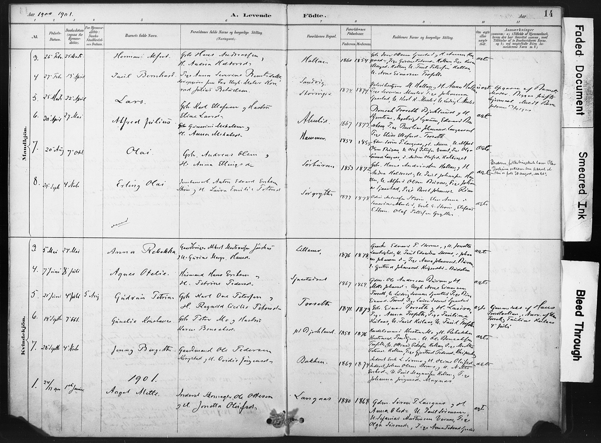 Ministerialprotokoller, klokkerbøker og fødselsregistre - Nord-Trøndelag, AV/SAT-A-1458/718/L0175: Parish register (official) no. 718A01, 1890-1923, p. 14