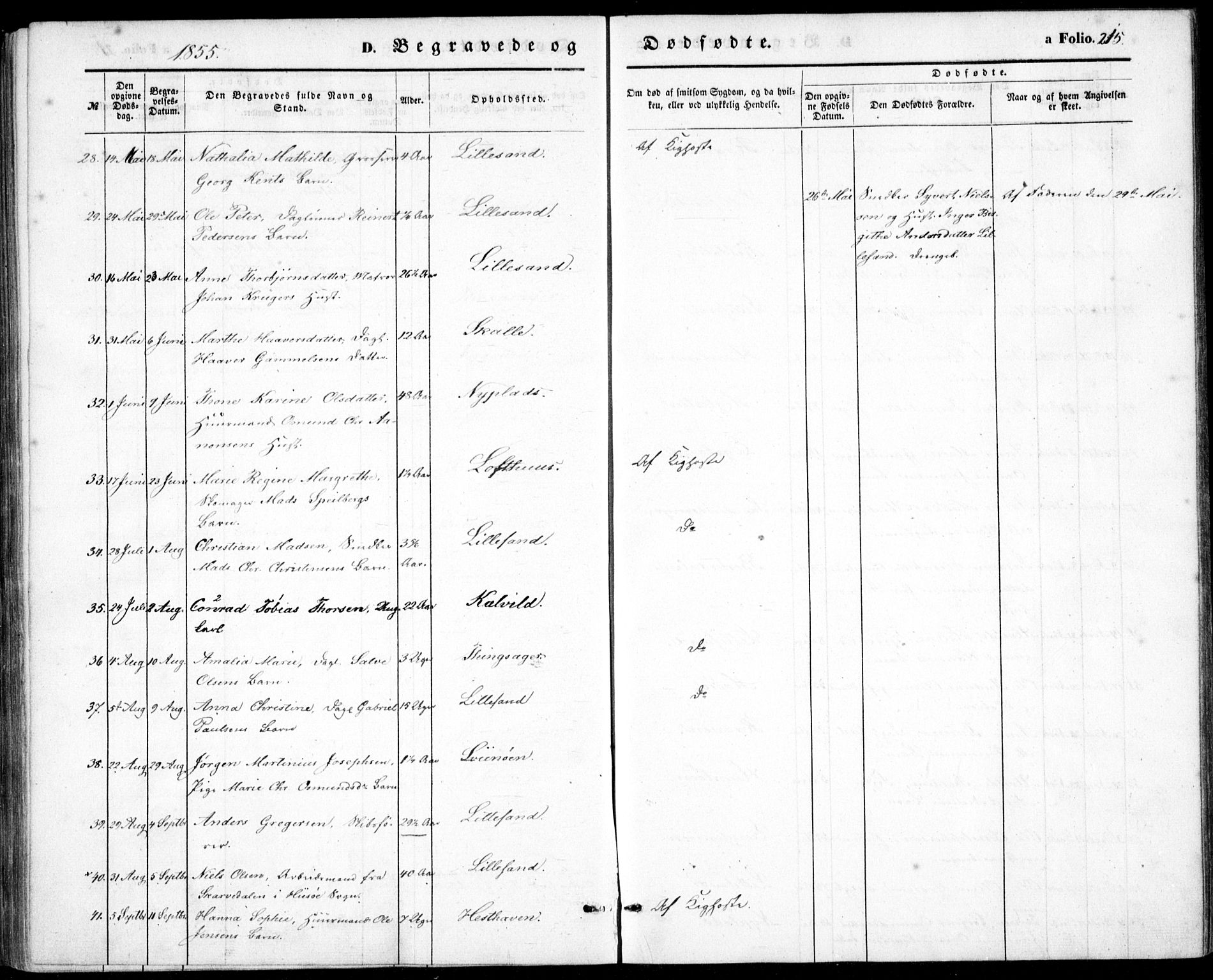 Vestre Moland sokneprestkontor, AV/SAK-1111-0046/F/Fb/Fbb/L0003: Parish register (copy) no. B 3, 1851-1861, p. 215