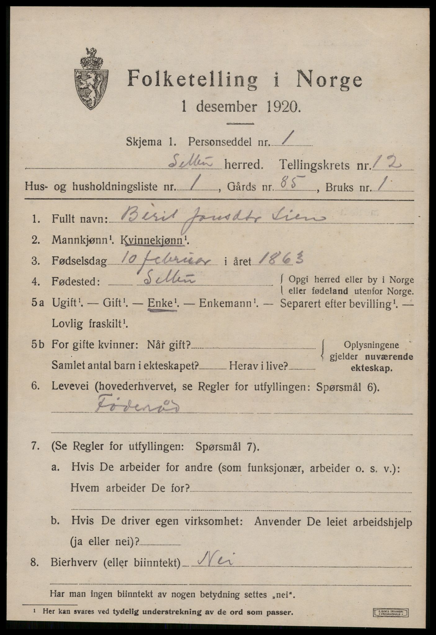 SAT, 1920 census for Selbu, 1920, p. 6506