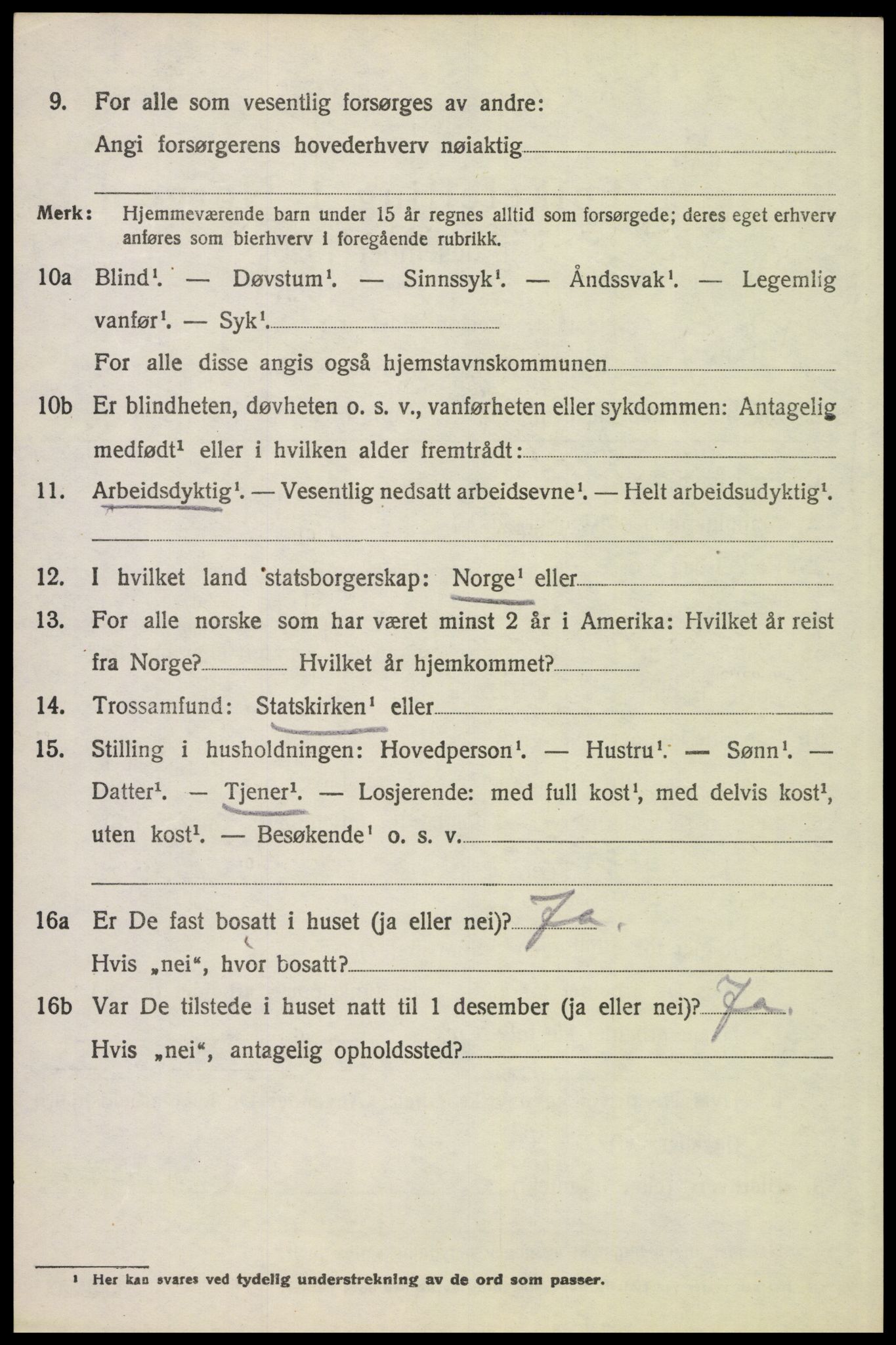 SAH, 1920 census for Stor-Elvdal, 1920, p. 6233