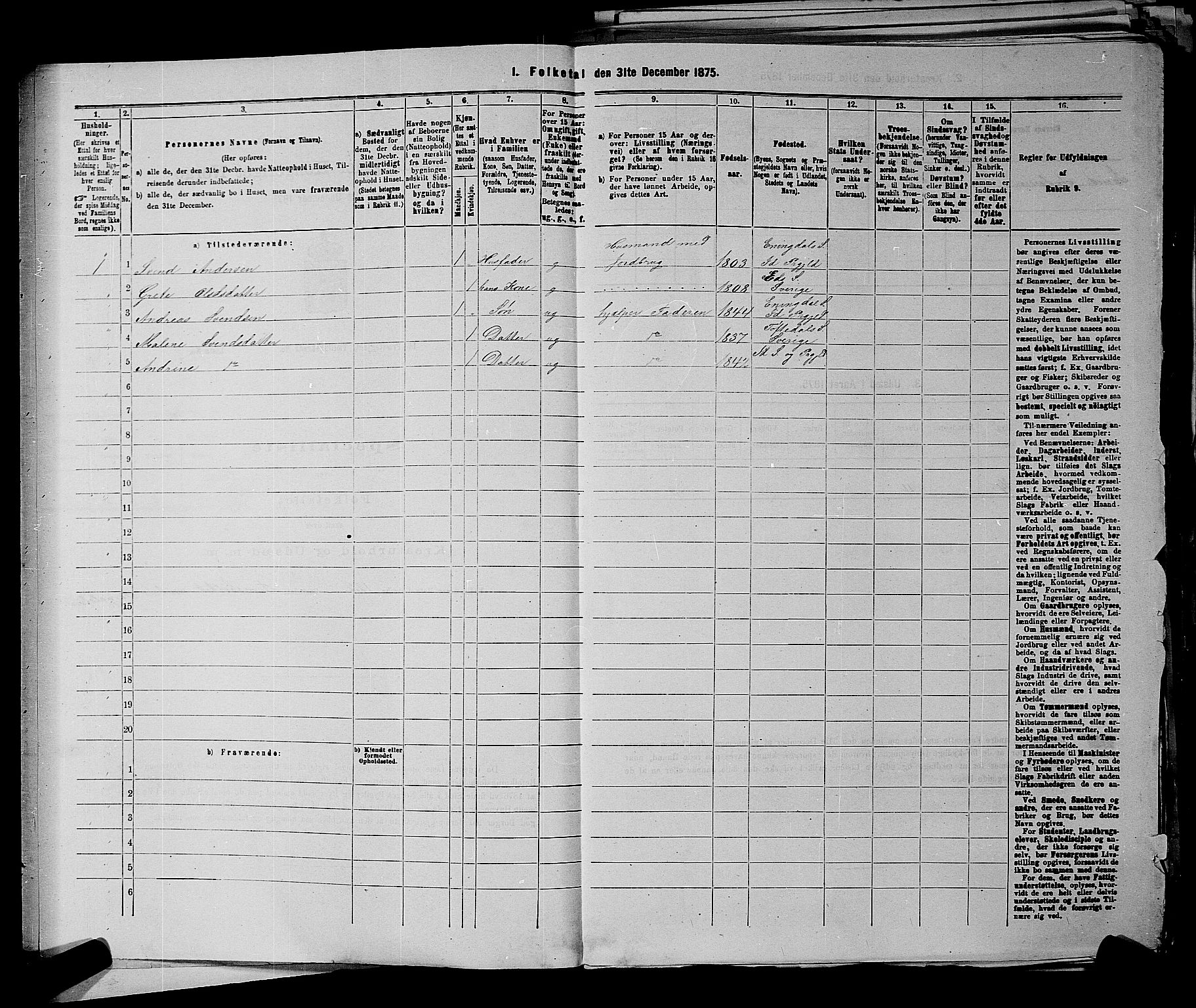 RA, 1875 census for 0117P Idd, 1875, p. 922