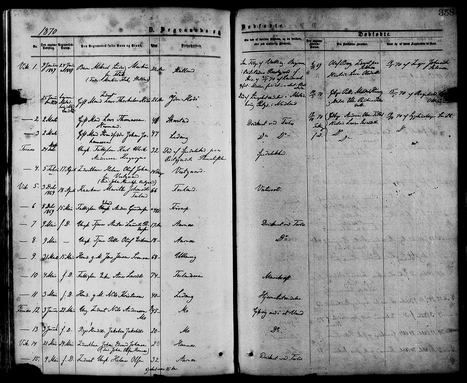 Ministerialprotokoller, klokkerbøker og fødselsregistre - Nord-Trøndelag, SAT/A-1458/773/L0616: Parish register (official) no. 773A07, 1870-1887, p. 358