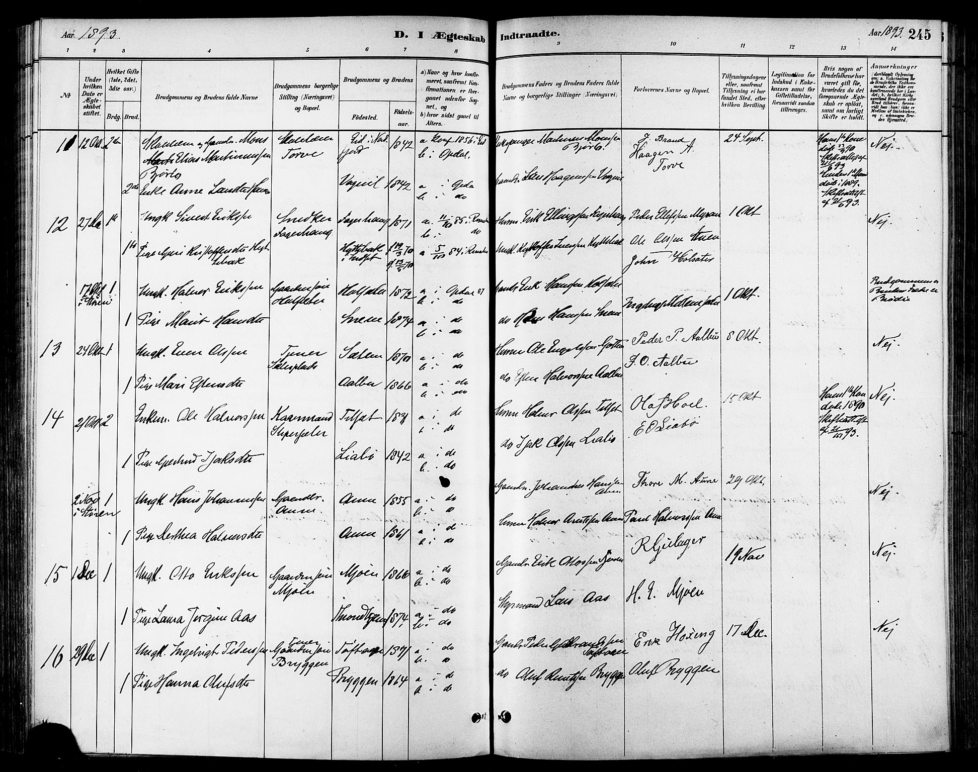 Ministerialprotokoller, klokkerbøker og fødselsregistre - Sør-Trøndelag, AV/SAT-A-1456/678/L0901: Parish register (official) no. 678A10, 1881-1894, p. 245