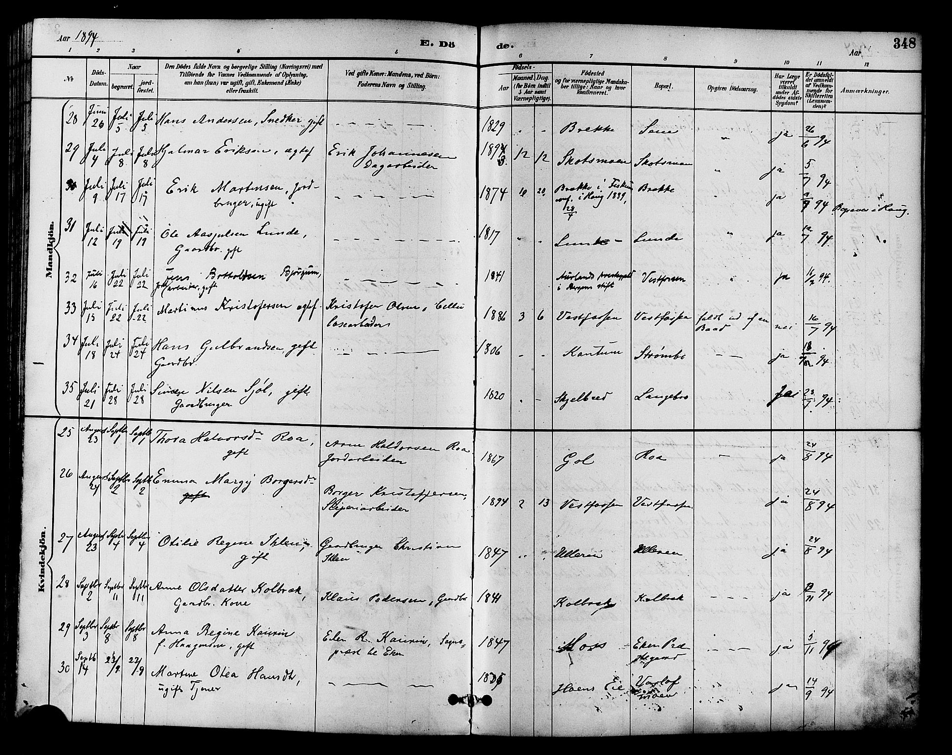 Eiker kirkebøker, AV/SAKO-A-4/F/Fb/L0002: Parish register (official) no. II 2, 1889-1896, p. 348