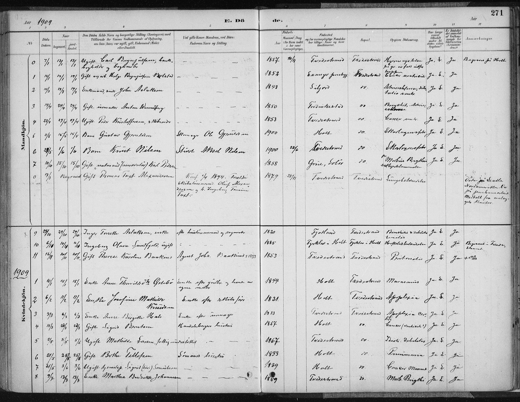 Tvedestrand sokneprestkontor, AV/SAK-1111-0042/F/Fa/L0001: Parish register (official) no. A 1, 1885-1916, p. 271