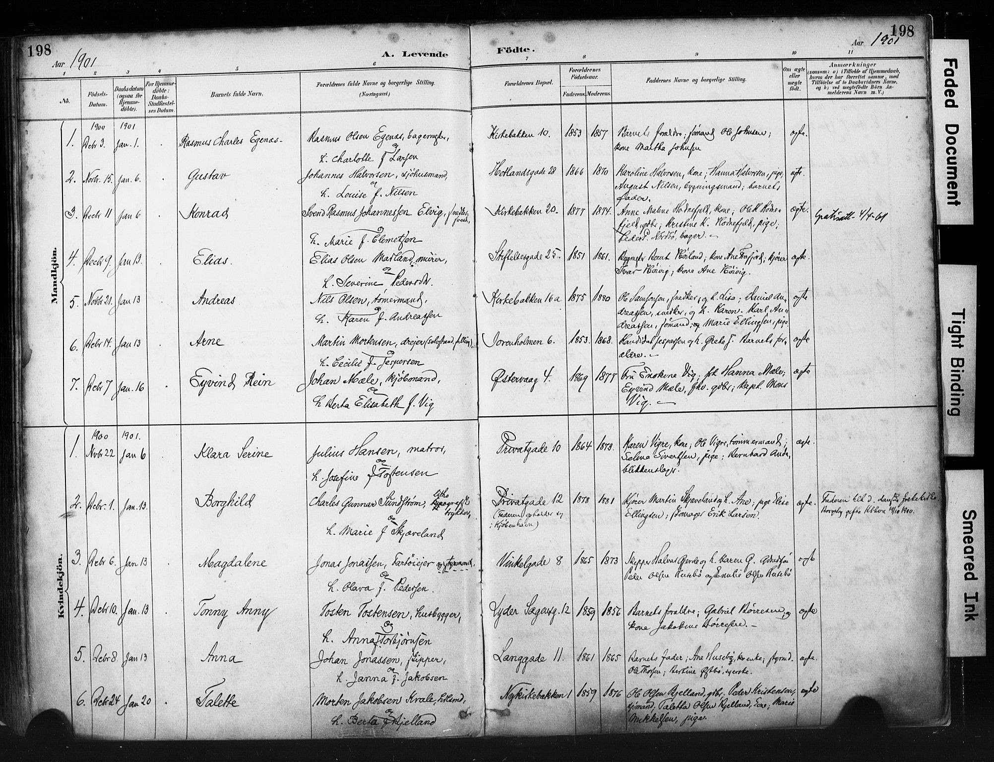 St. Petri sokneprestkontor, AV/SAST-A-101813/001/30/30BA/L0019: Parish register (official) no. A 20, 1888-1901, p. 198