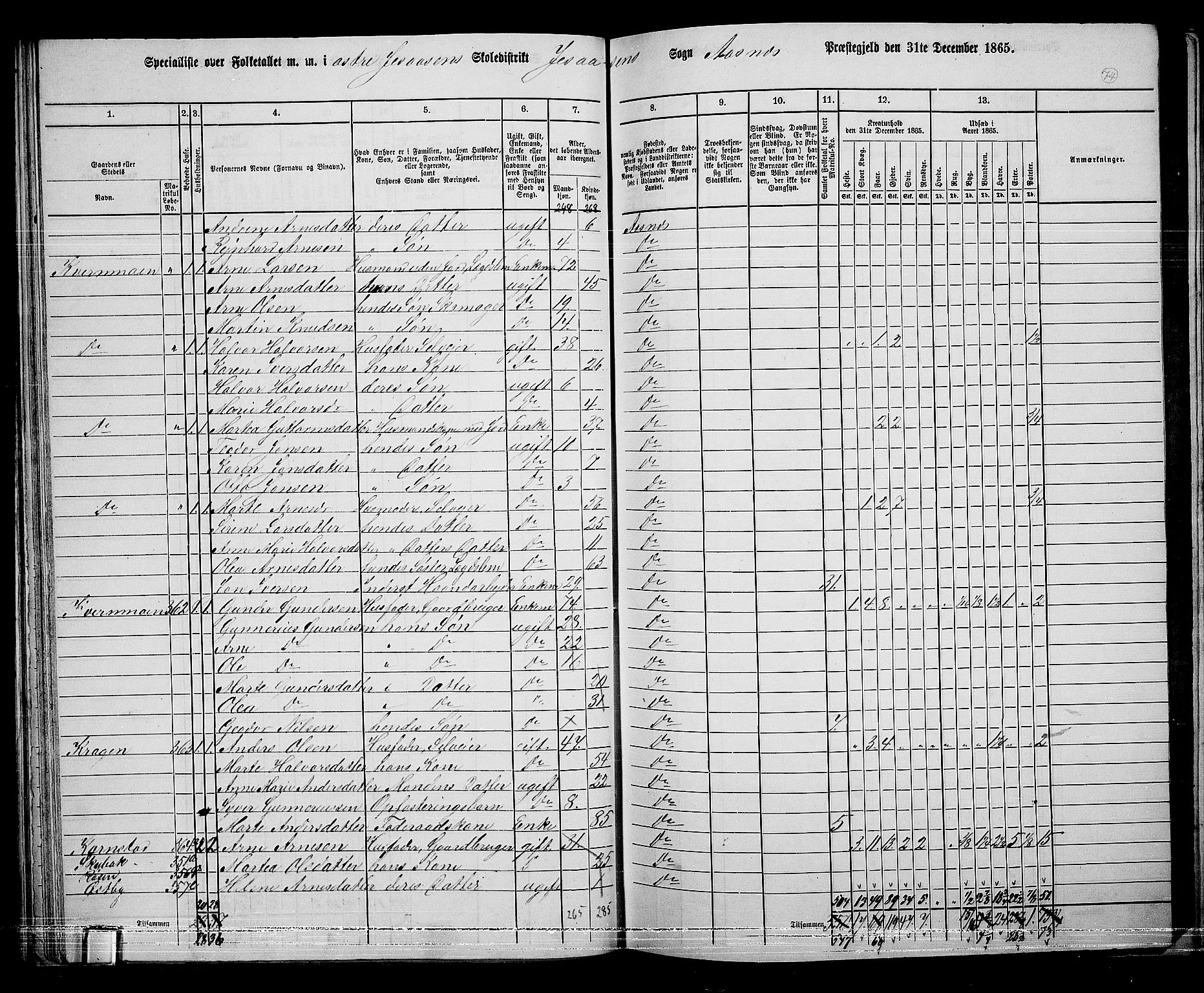 RA, 1865 census for Åsnes, 1865, p. 70