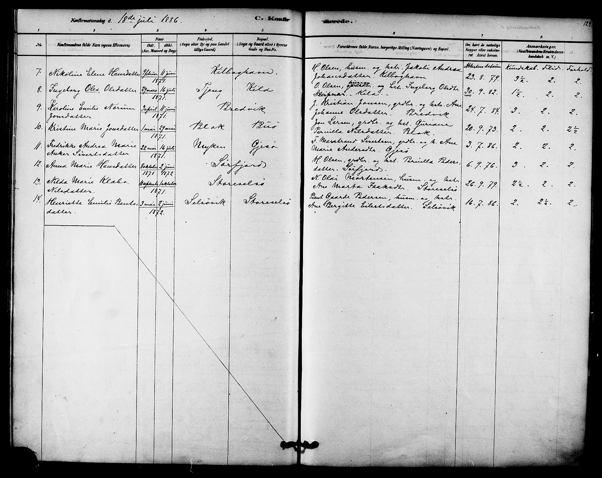 Ministerialprotokoller, klokkerbøker og fødselsregistre - Nordland, AV/SAT-A-1459/841/L0609: Parish register (official) no. 841A12, 1878-1901, p. 124