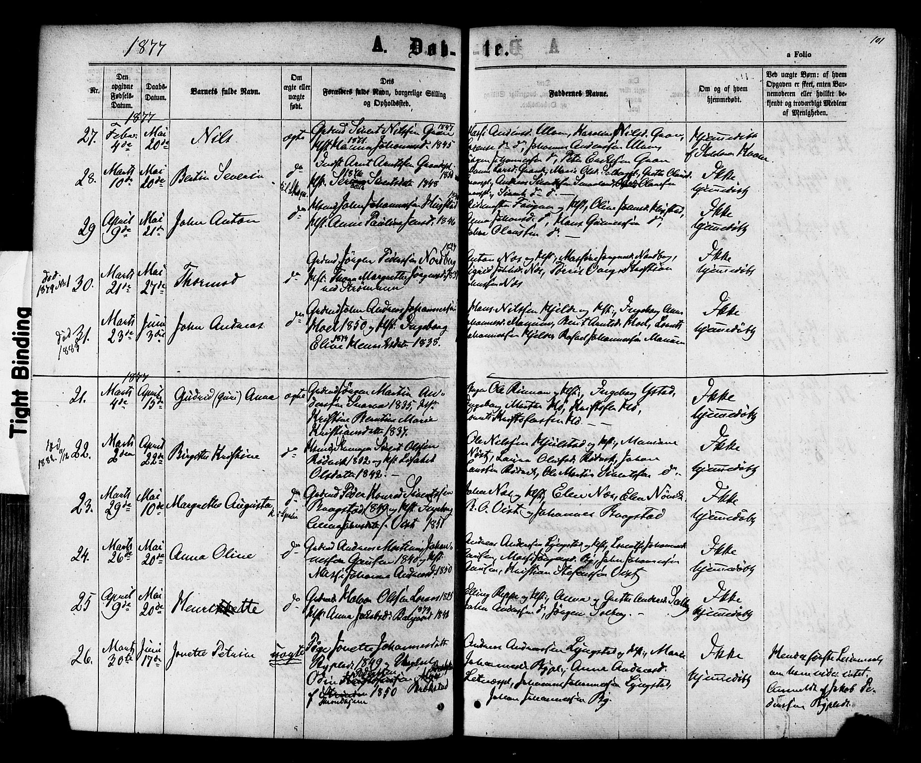 Ministerialprotokoller, klokkerbøker og fødselsregistre - Nord-Trøndelag, AV/SAT-A-1458/730/L0284: Parish register (official) no. 730A09, 1866-1878, p. 101