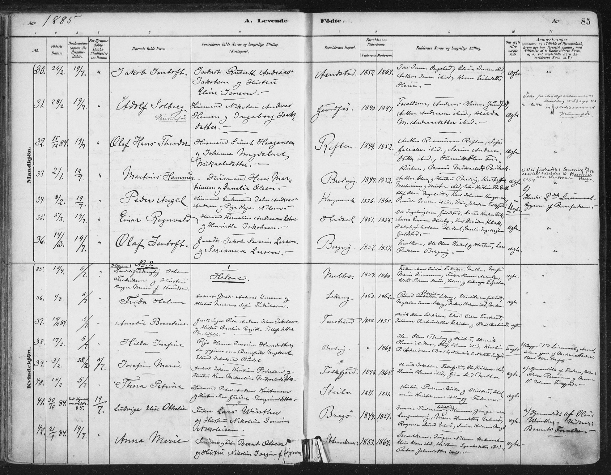 Ministerialprotokoller, klokkerbøker og fødselsregistre - Nordland, AV/SAT-A-1459/888/L1244: Parish register (official) no. 888A10, 1880-1890, p. 85