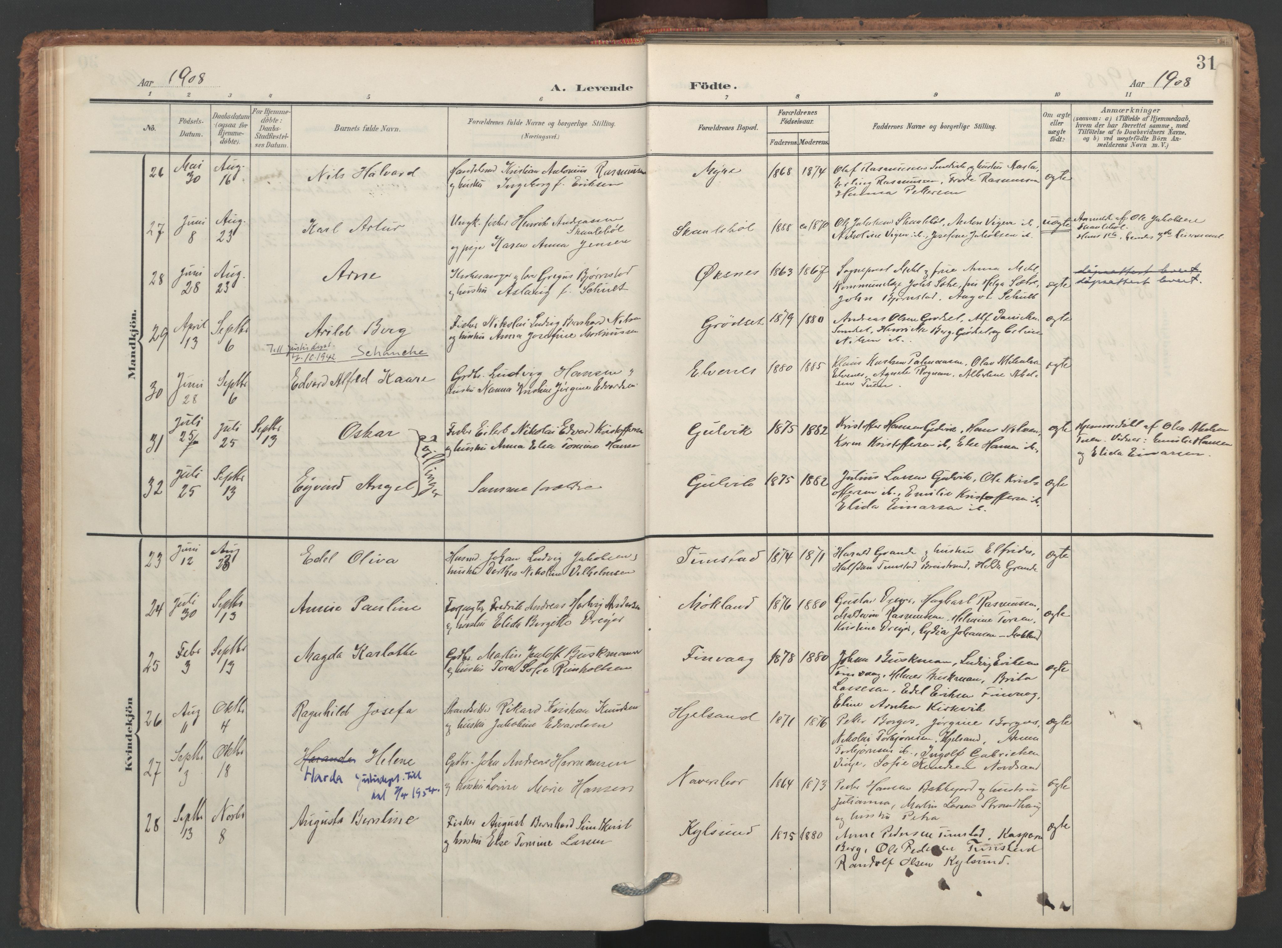 Ministerialprotokoller, klokkerbøker og fødselsregistre - Nordland, SAT/A-1459/893/L1339: Parish register (official) no. 893A11, 1904-1914, p. 31