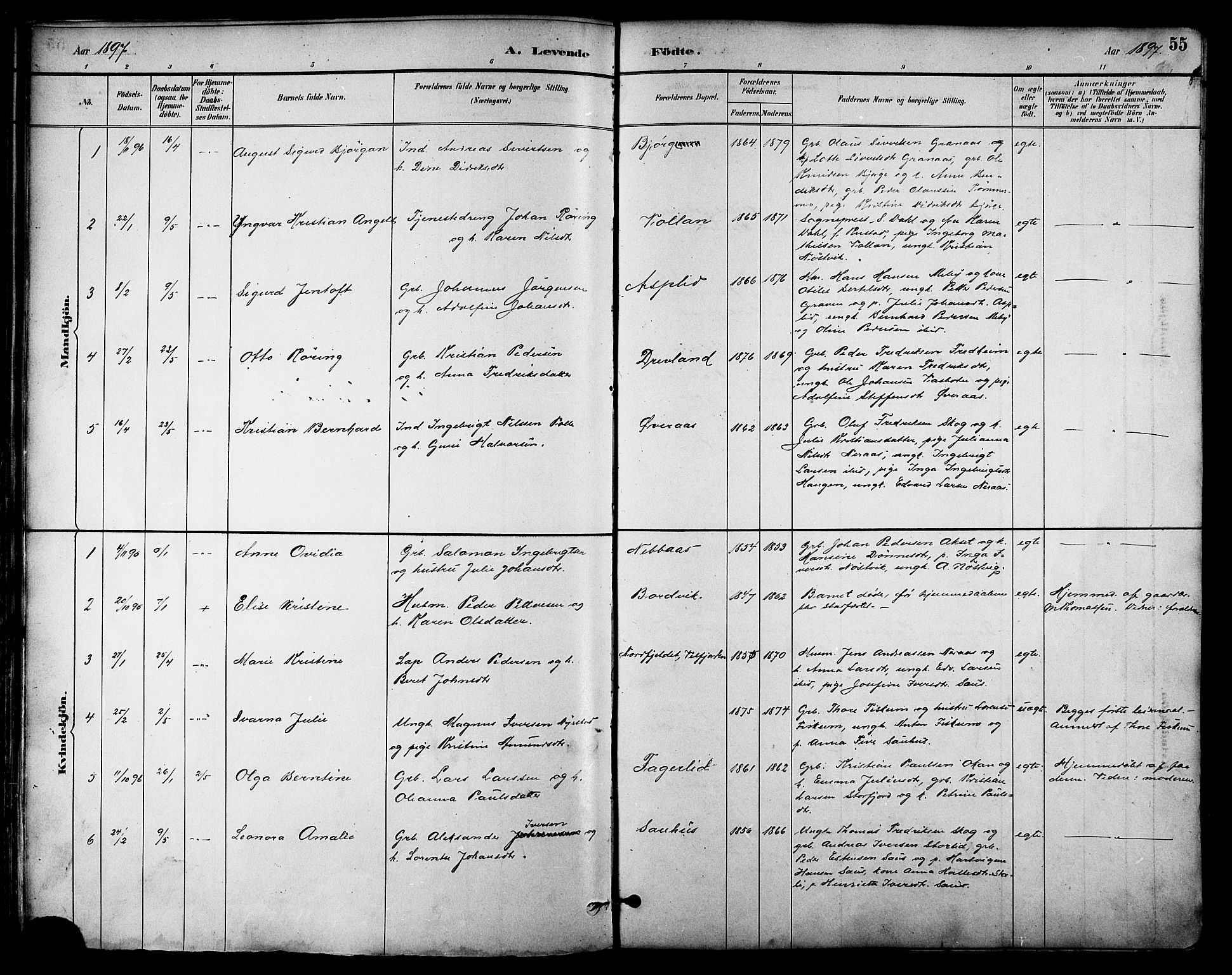 Ministerialprotokoller, klokkerbøker og fødselsregistre - Nordland, AV/SAT-A-1459/814/L0230: Parish register (copy) no. 814C03, 1884-1911, p. 55