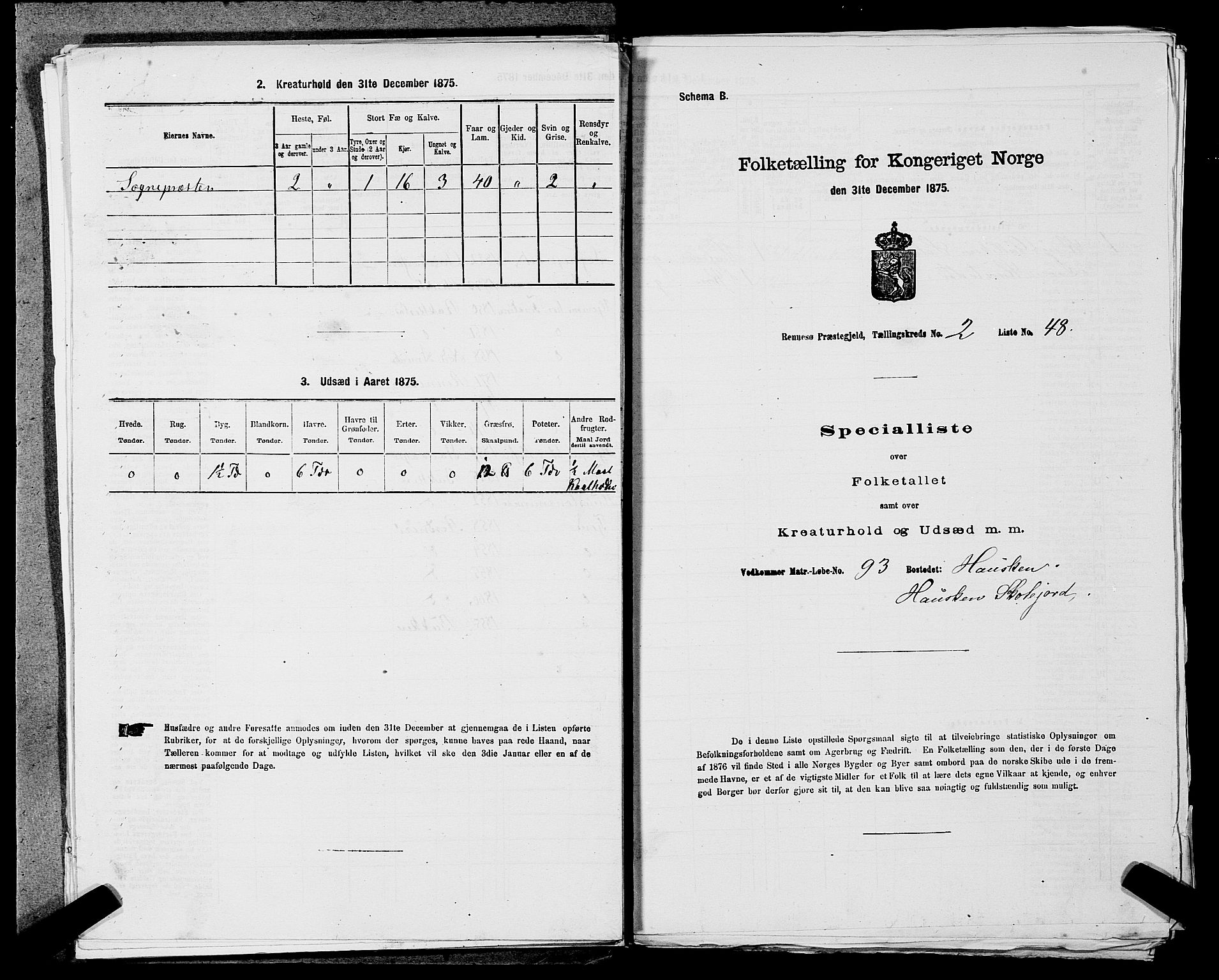 SAST, 1875 census for 1142P Rennesøy, 1875, p. 238