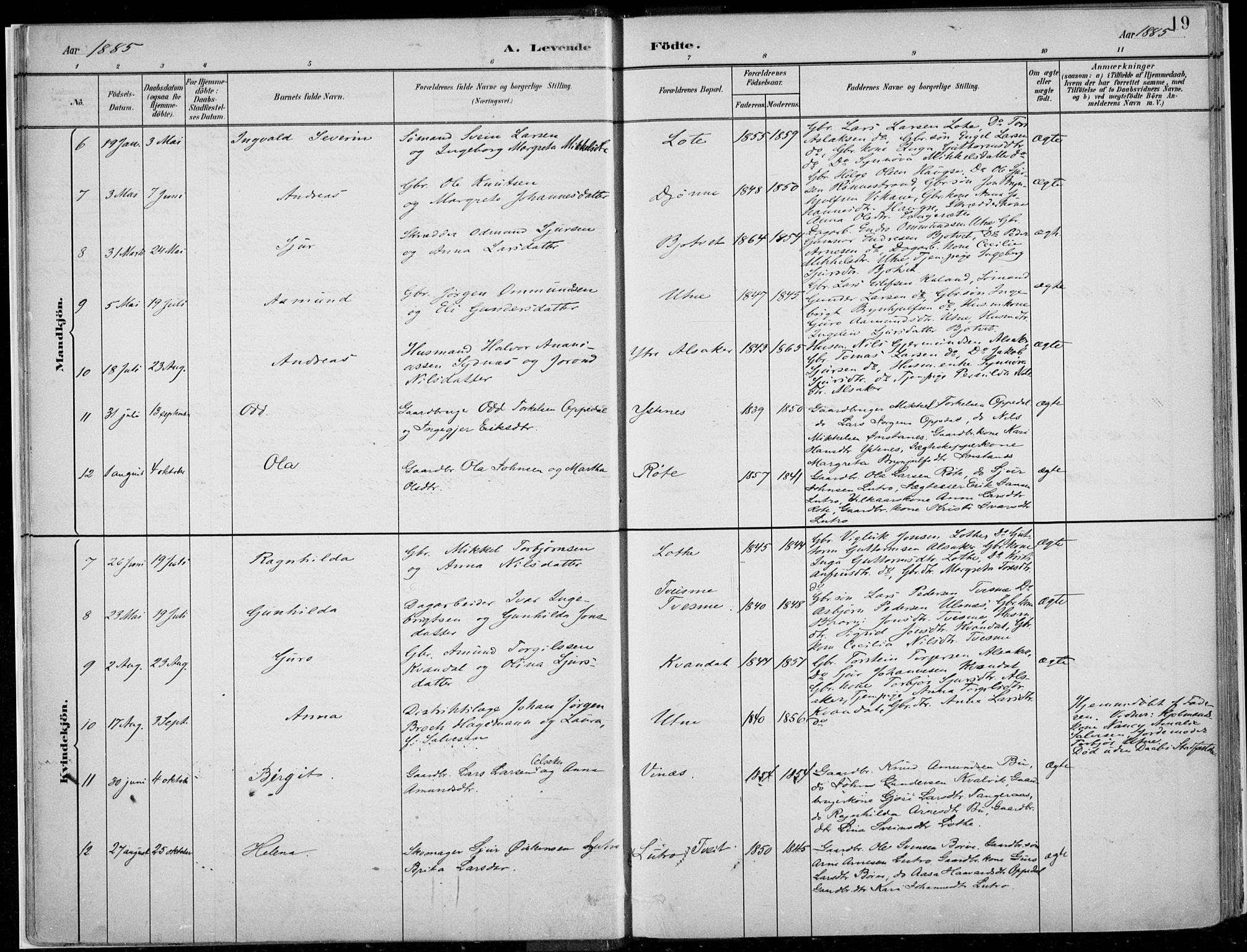 Ullensvang sokneprestembete, SAB/A-78701/H/Haa: Parish register (official) no. E  1, 1882-1921, p. 19