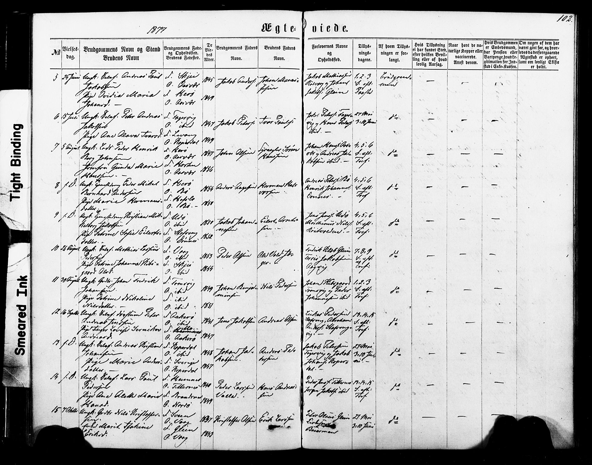 Ministerialprotokoller, klokkerbøker og fødselsregistre - Nordland, SAT/A-1459/835/L0524: Parish register (official) no. 835A02, 1865-1880, p. 102