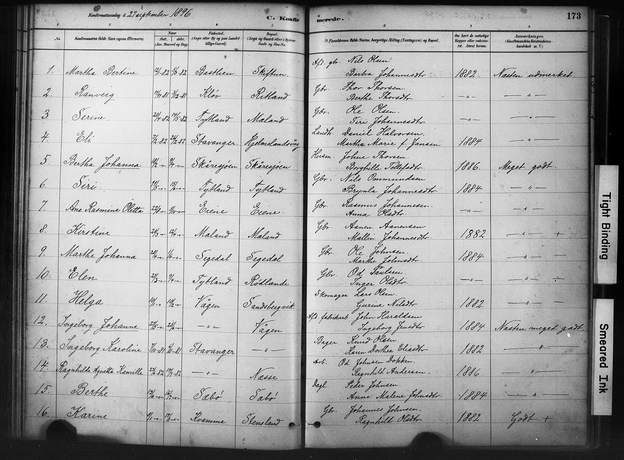 Hjelmeland sokneprestkontor, AV/SAST-A-101843/01/IV/L0014: Parish register (official) no. A 14, 1879-1900, p. 173