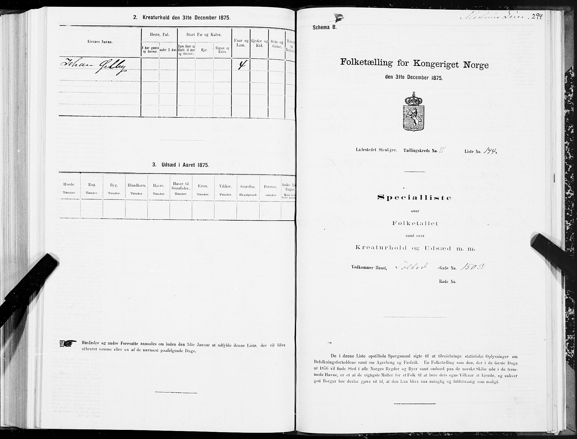 SAT, 1875 census for 1702B Steinkjer/Steinkjer, 1875, p. 294