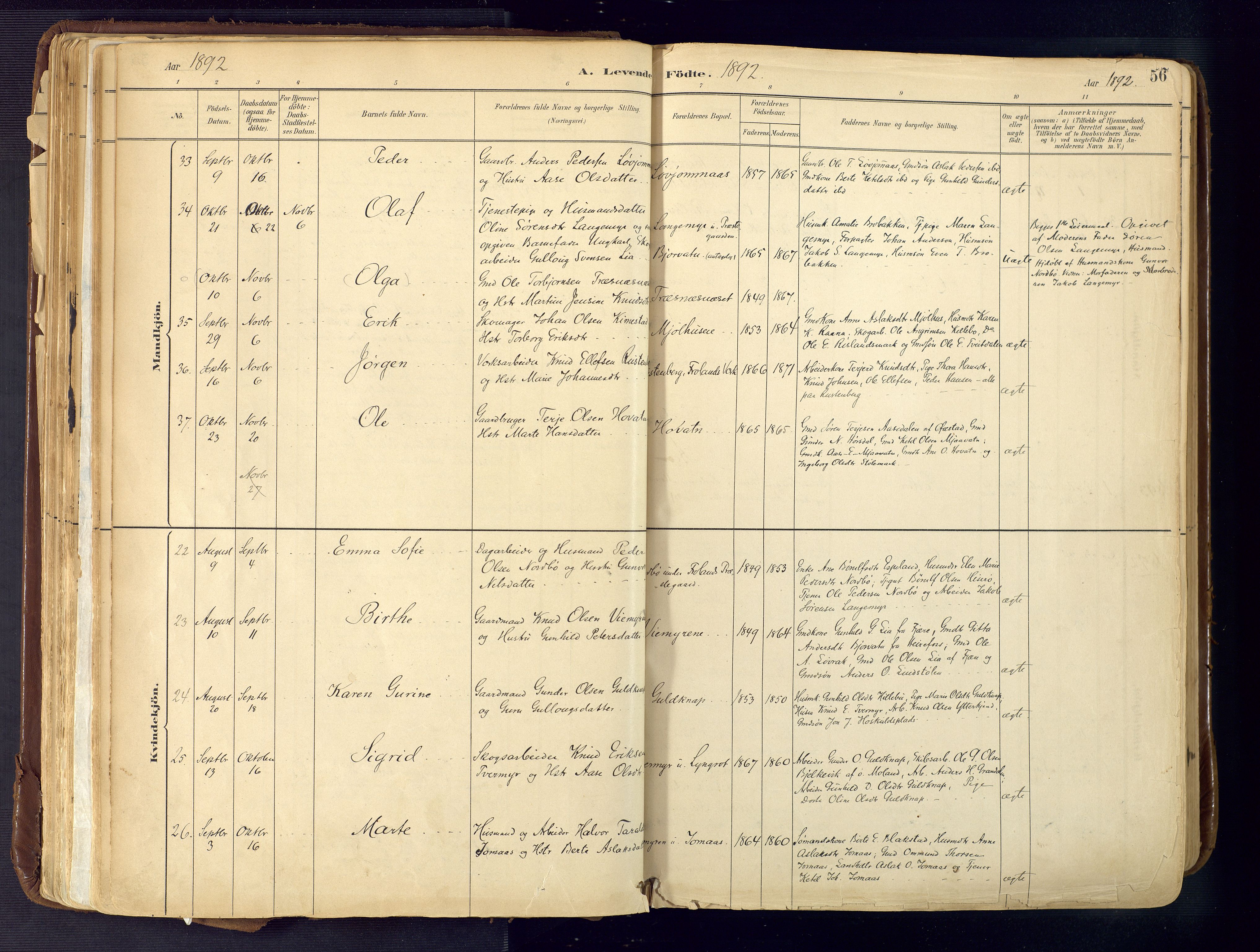 Froland sokneprestkontor, SAK/1111-0013/F/Fa/L0005: Parish register (official) no. A 5, 1882-1921, p. 56