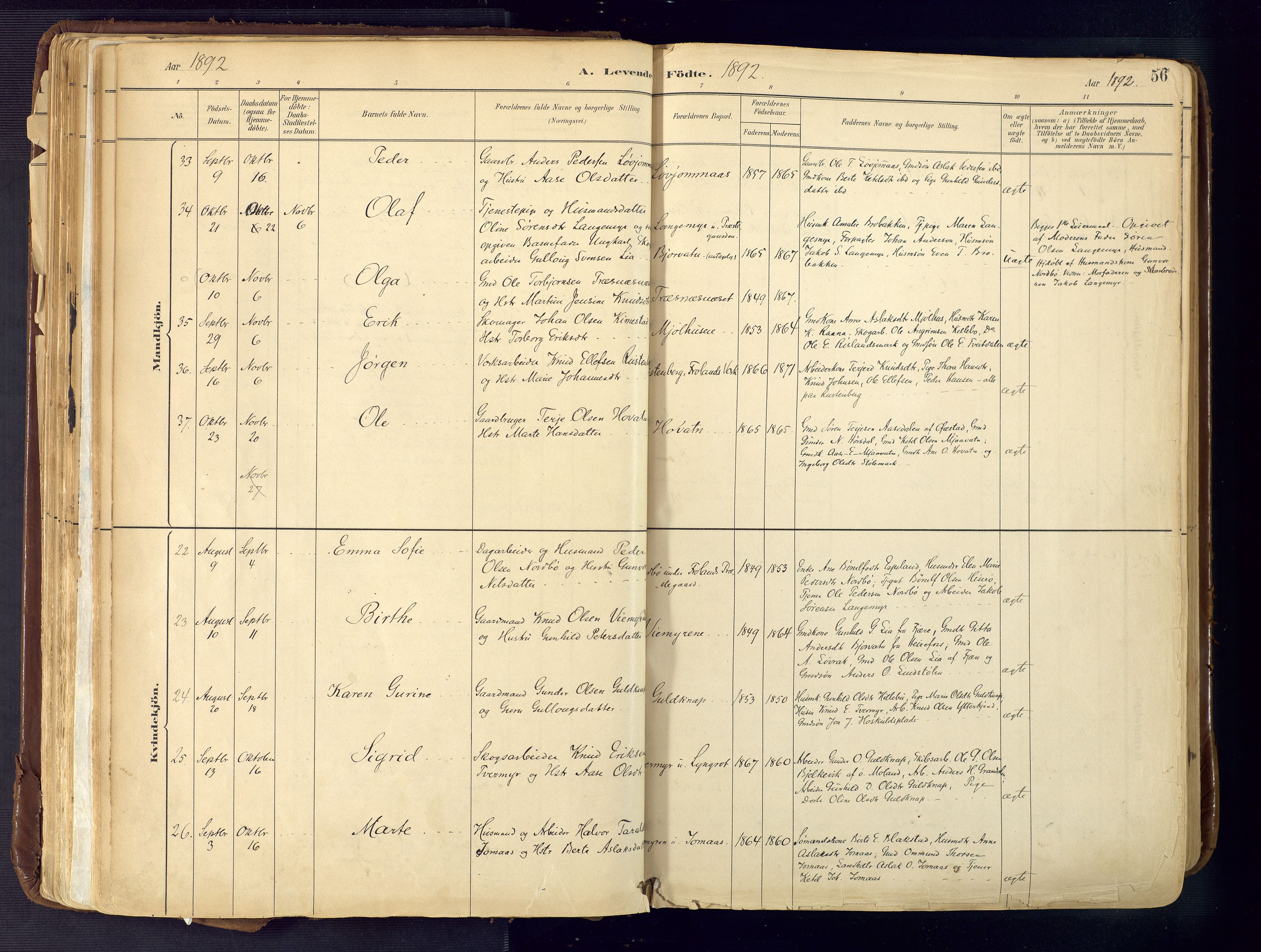 Froland sokneprestkontor, AV/SAK-1111-0013/F/Fa/L0005: Parish register (official) no. A 5, 1882-1921, p. 56