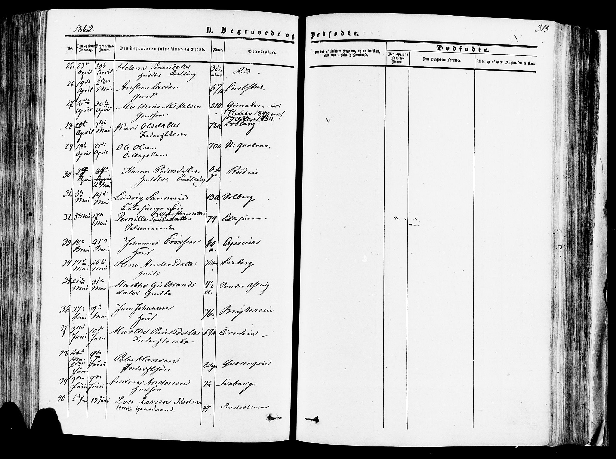 Vang prestekontor, Hedmark, AV/SAH-PREST-008/H/Ha/Haa/L0013: Parish register (official) no. 13, 1855-1879, p. 313