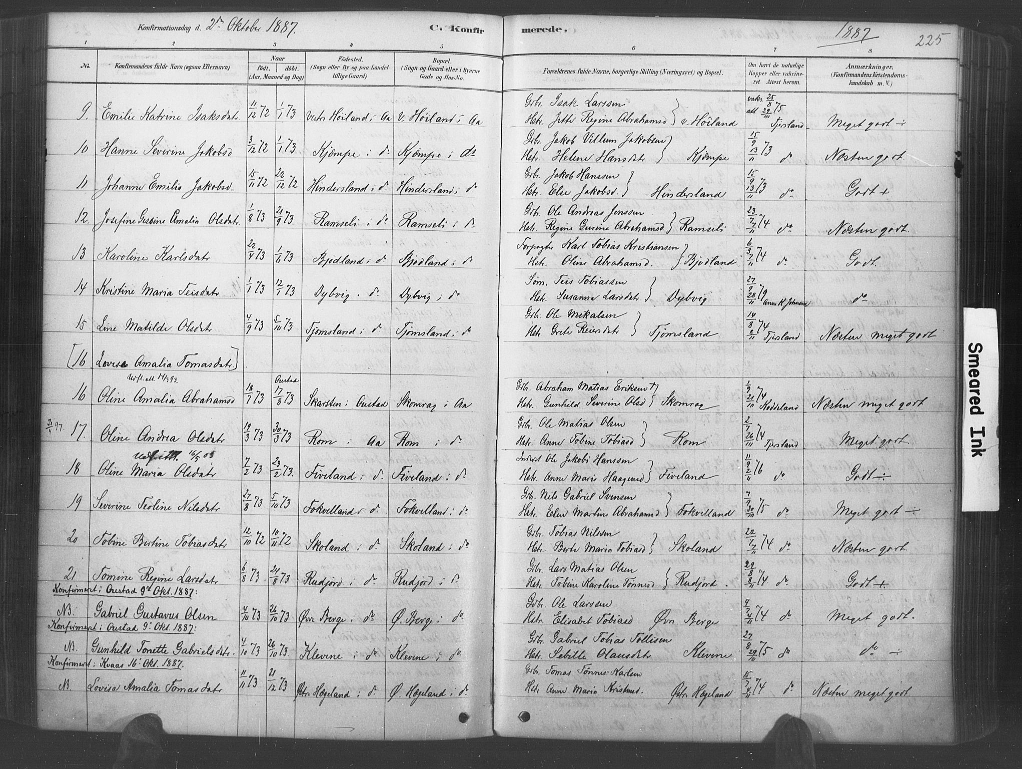 Lyngdal sokneprestkontor, AV/SAK-1111-0029/F/Fa/Fac/L0011: Parish register (official) no. A 11, 1878-1893, p. 225