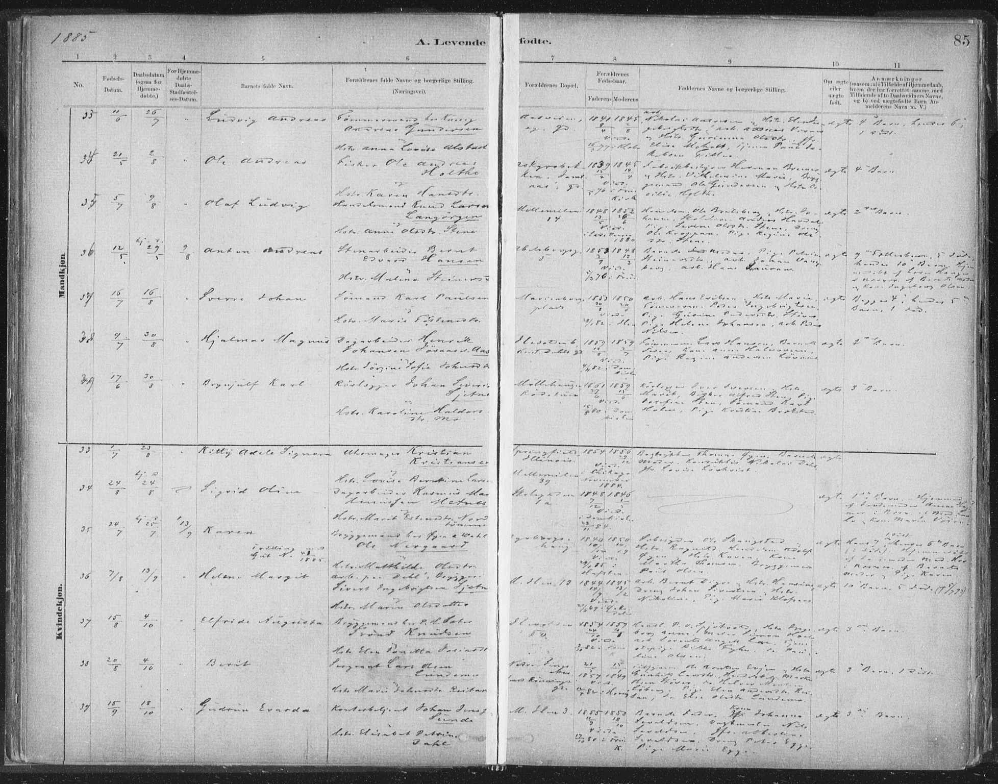 Ministerialprotokoller, klokkerbøker og fødselsregistre - Sør-Trøndelag, SAT/A-1456/603/L0162: Parish register (official) no. 603A01, 1879-1895, p. 85