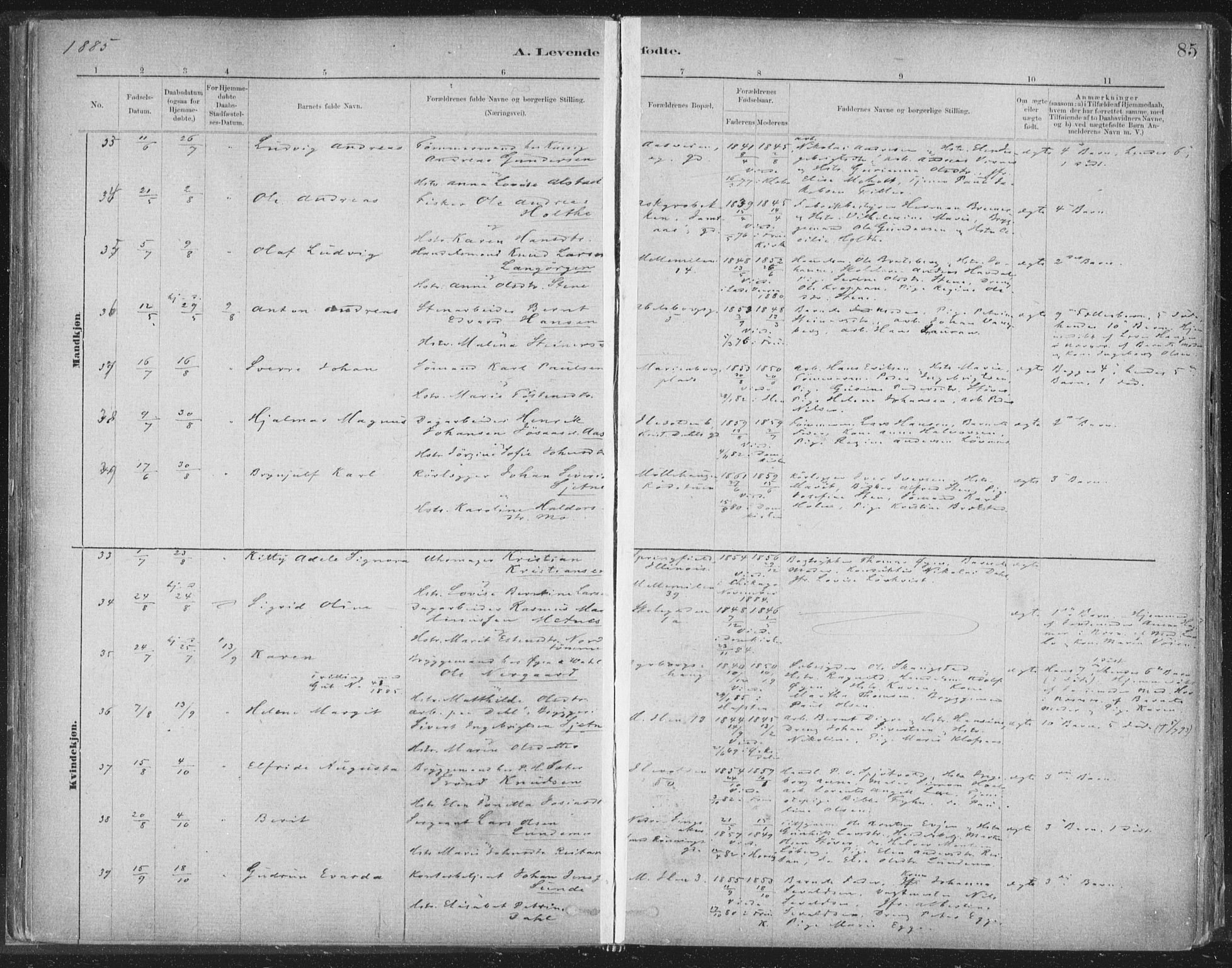 Ministerialprotokoller, klokkerbøker og fødselsregistre - Sør-Trøndelag, AV/SAT-A-1456/603/L0162: Parish register (official) no. 603A01, 1879-1895, p. 85