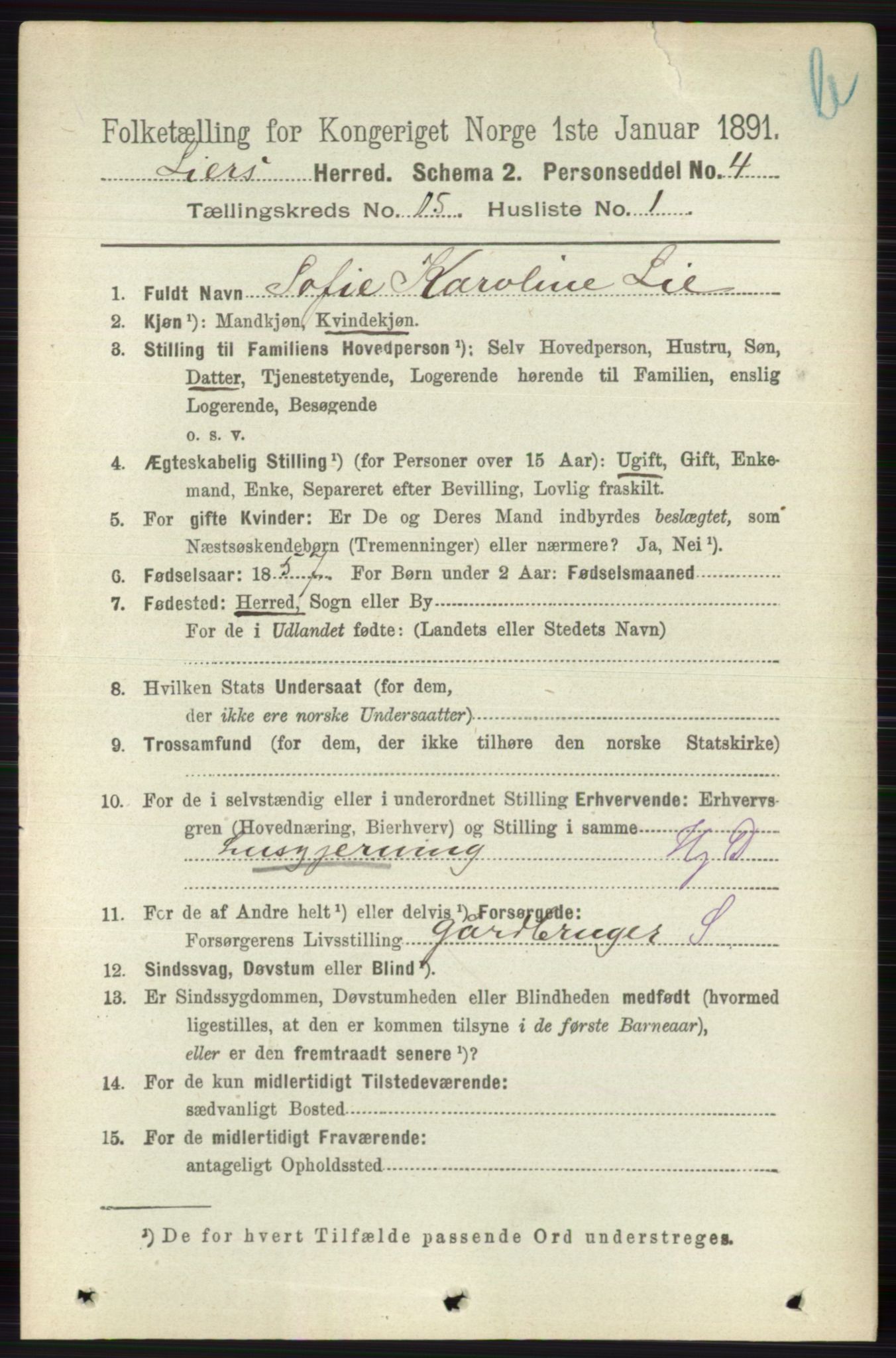 RA, 1891 census for 0626 Lier, 1891, p. 8713