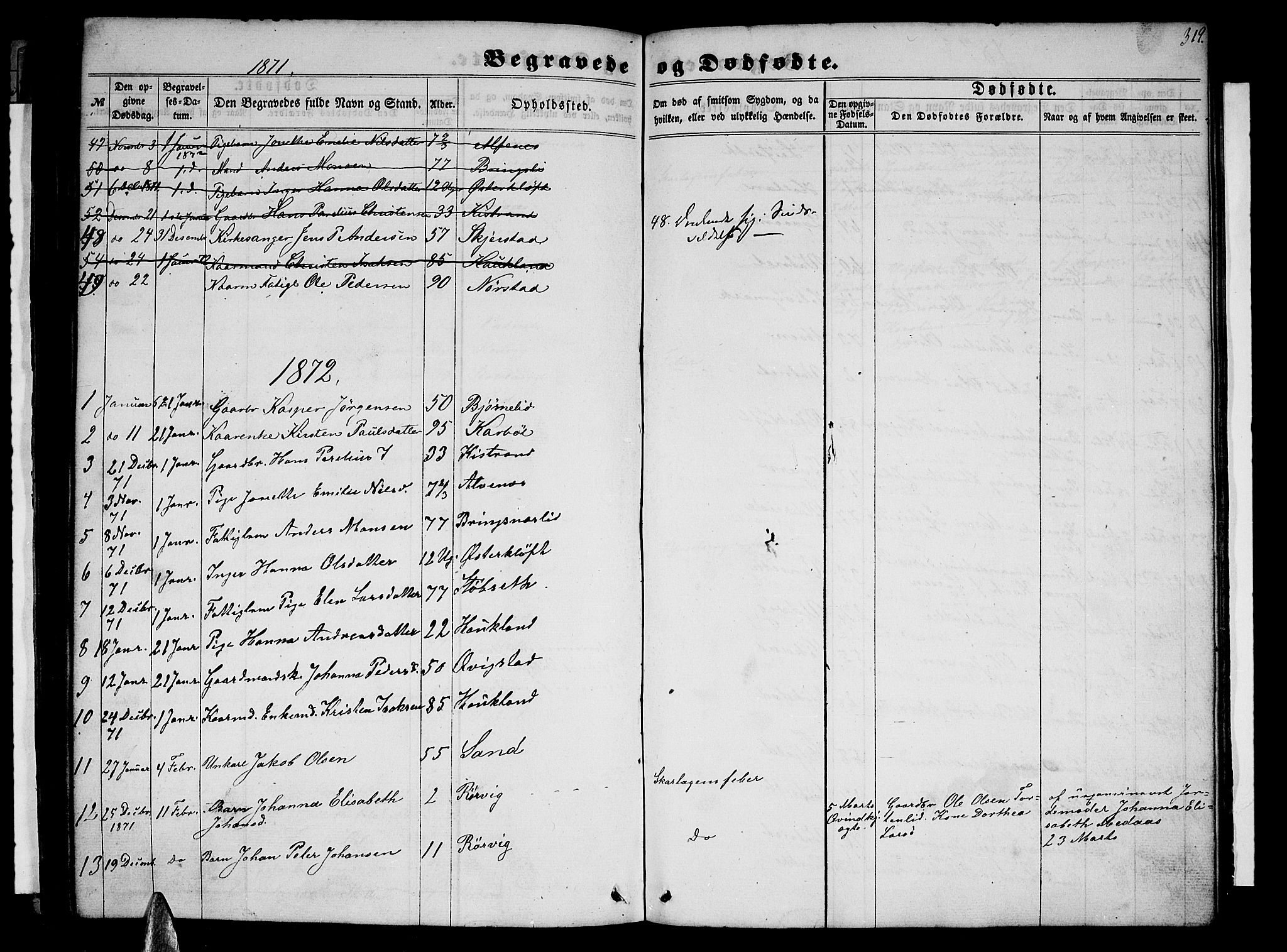 Ministerialprotokoller, klokkerbøker og fødselsregistre - Nordland, AV/SAT-A-1459/852/L0753: Parish register (copy) no. 852C04, 1856-1877, p. 319