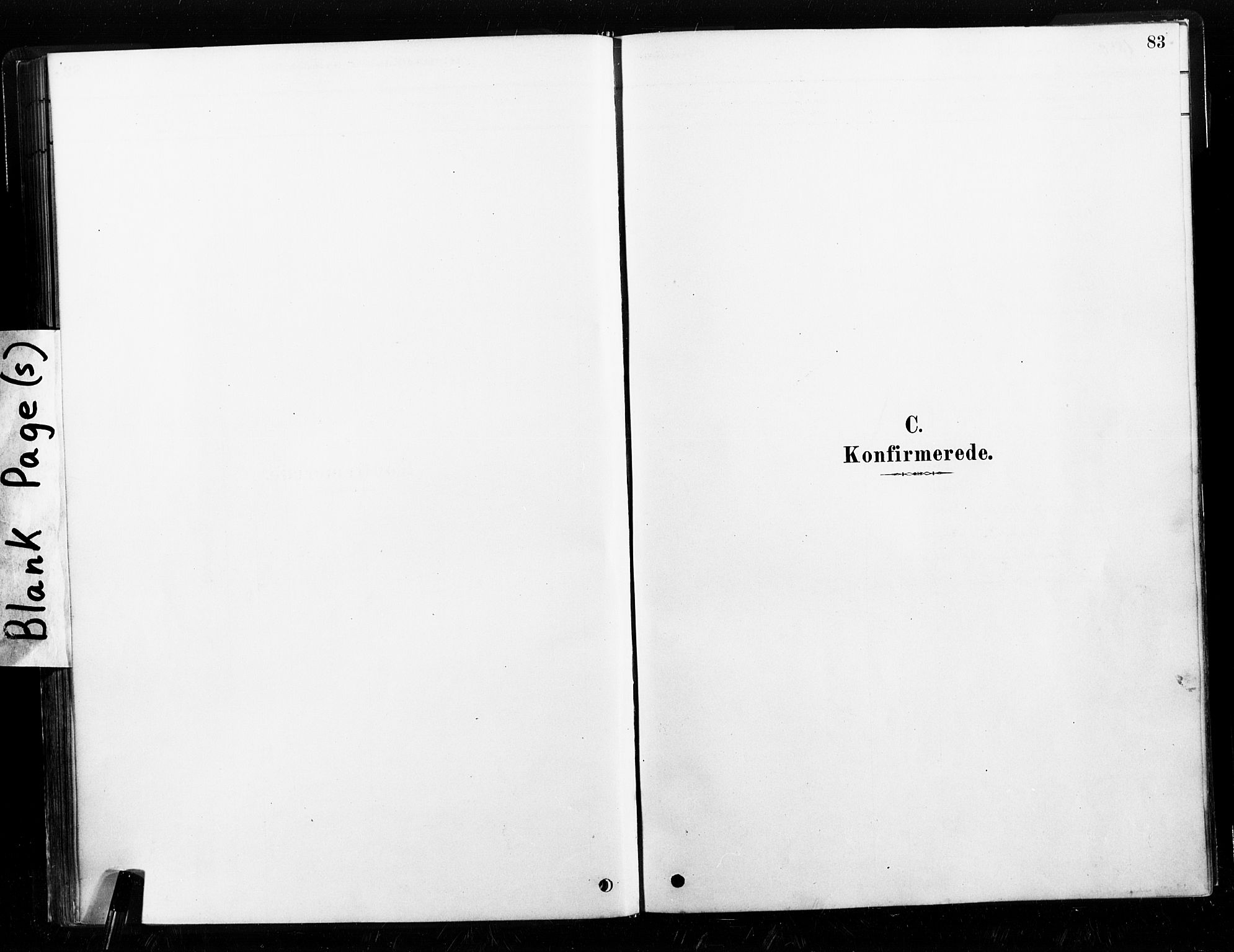 Ministerialprotokoller, klokkerbøker og fødselsregistre - Nord-Trøndelag, SAT/A-1458/789/L0705: Parish register (official) no. 789A01, 1878-1910, p. 83