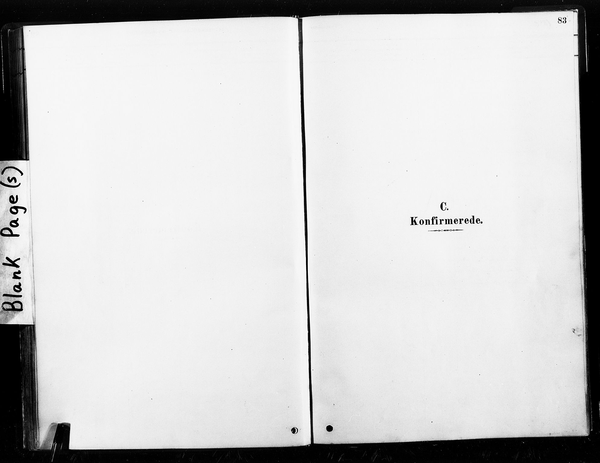 Ministerialprotokoller, klokkerbøker og fødselsregistre - Nord-Trøndelag, AV/SAT-A-1458/789/L0705: Parish register (official) no. 789A01, 1878-1910, p. 83