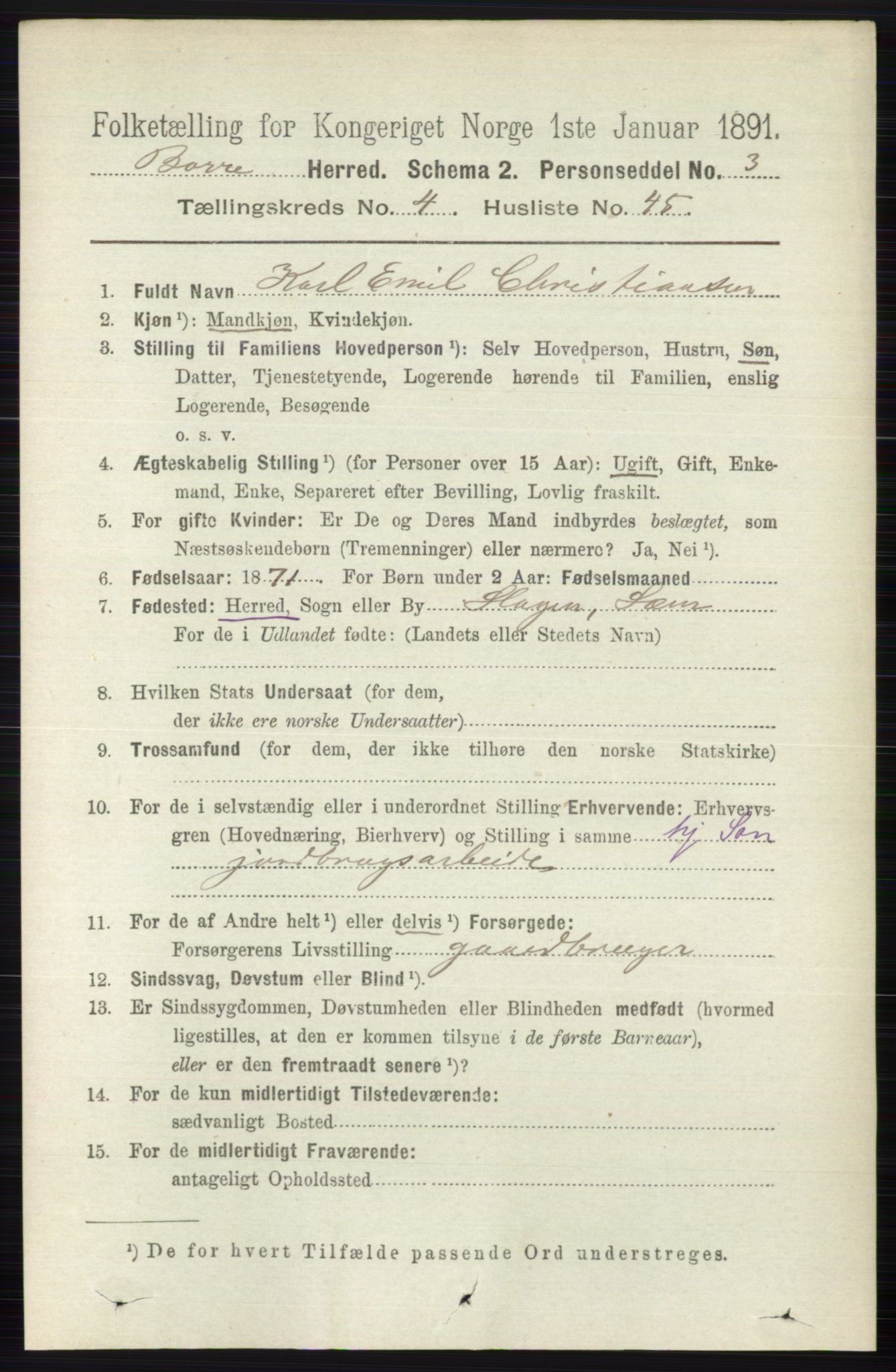 RA, 1891 census for 0717 Borre, 1891, p. 1907