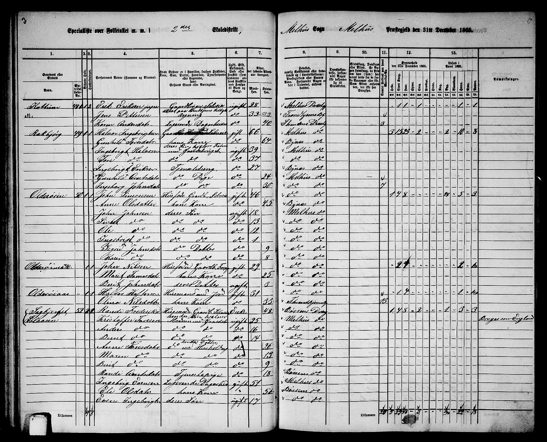 RA, 1865 census for Melhus, 1865, p. 52