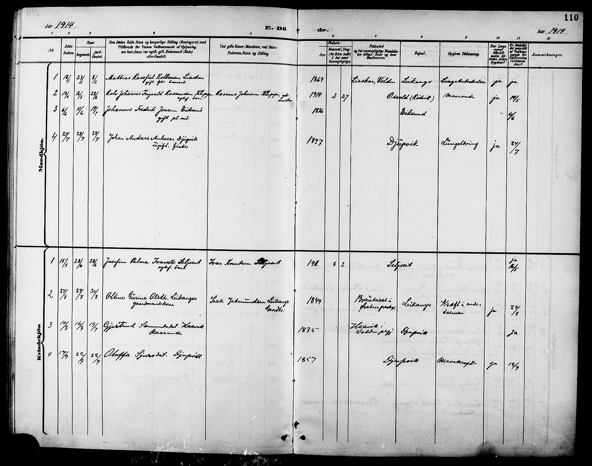 Ministerialprotokoller, klokkerbøker og fødselsregistre - Møre og Romsdal, AV/SAT-A-1454/508/L0098: Parish register (copy) no. 508C02, 1898-1916, p. 110