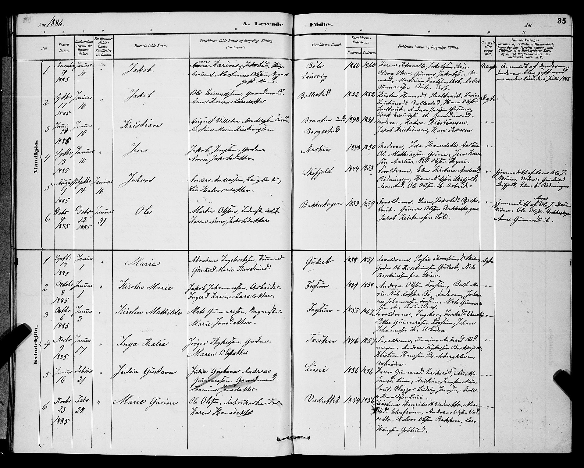 Gjerpen kirkebøker, SAKO/A-265/G/Ga/L0002: Parish register (copy) no. I 2, 1883-1900, p. 35