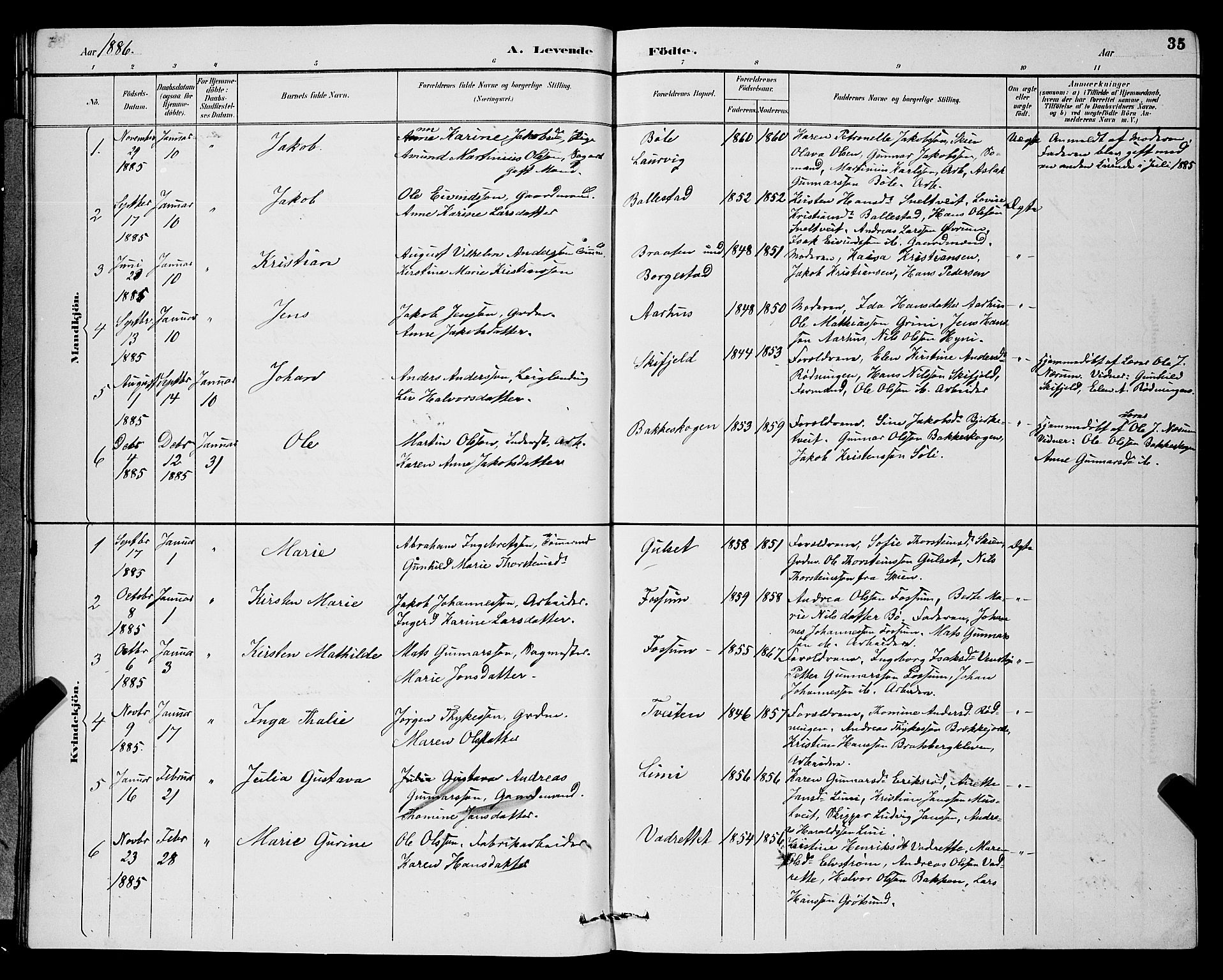 Gjerpen kirkebøker, AV/SAKO-A-265/G/Ga/L0002: Parish register (copy) no. I 2, 1883-1900, p. 35