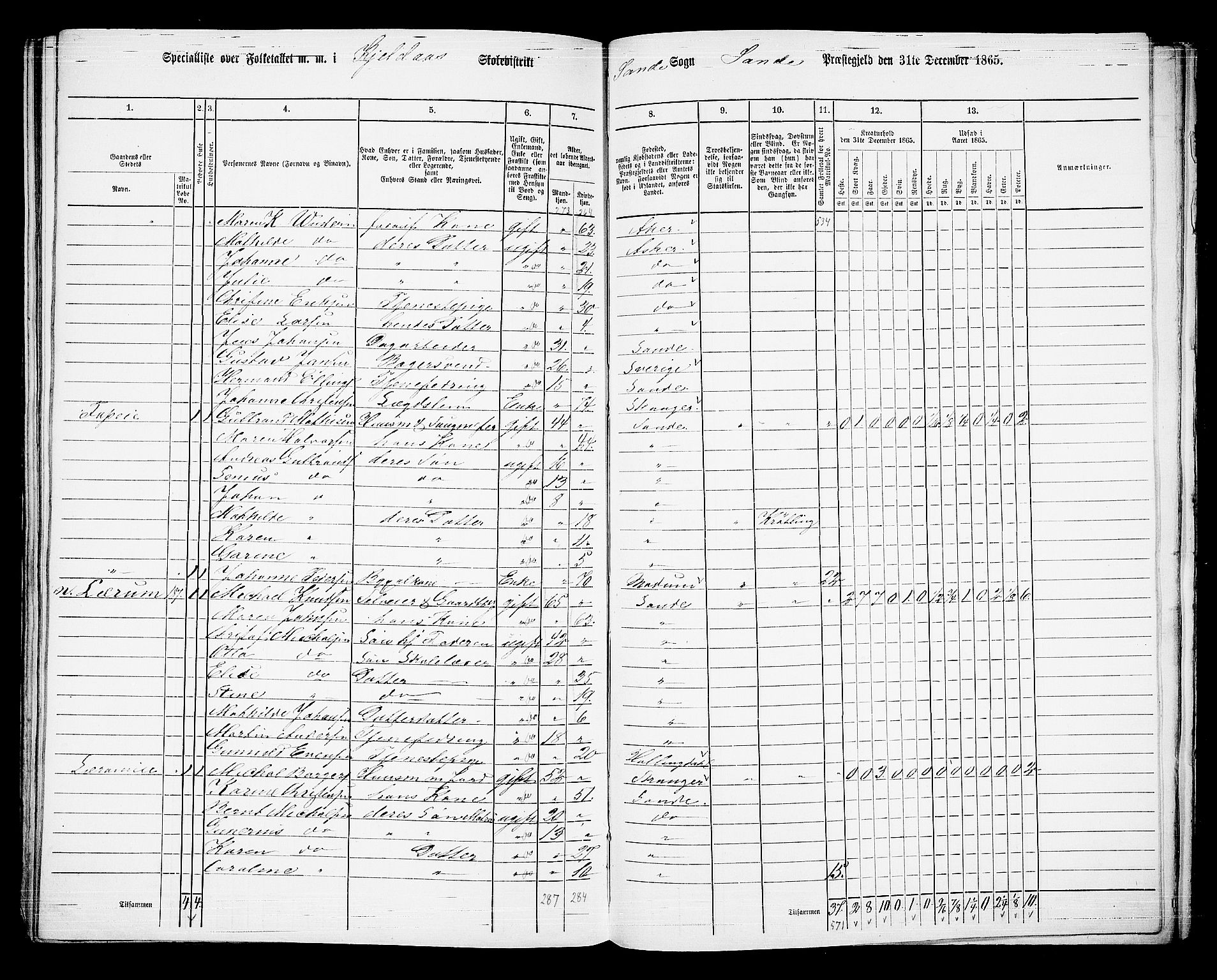 RA, 1865 census for Sande, 1865, p. 106