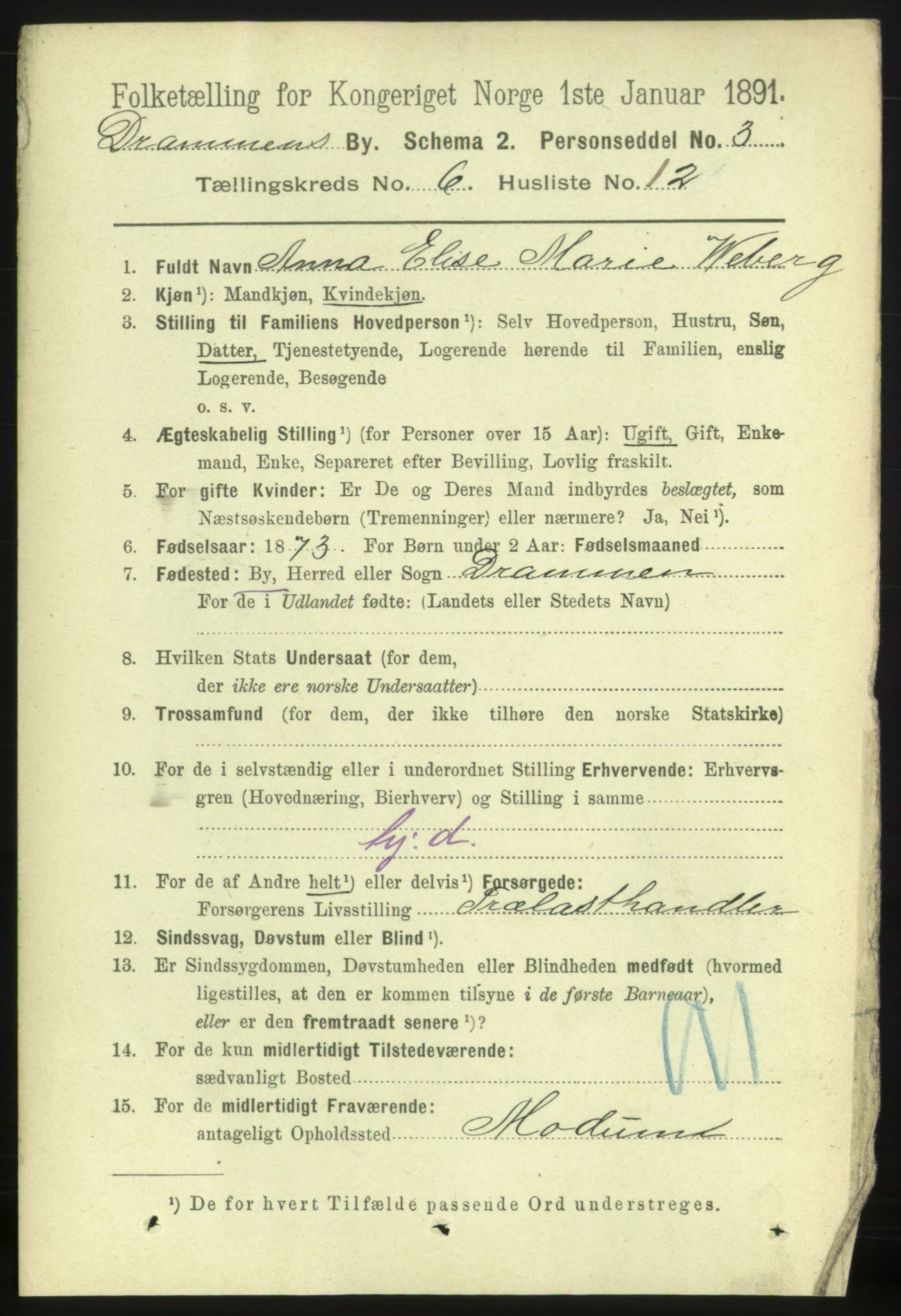 RA, 1891 census for 0602 Drammen, 1891, p. 6218