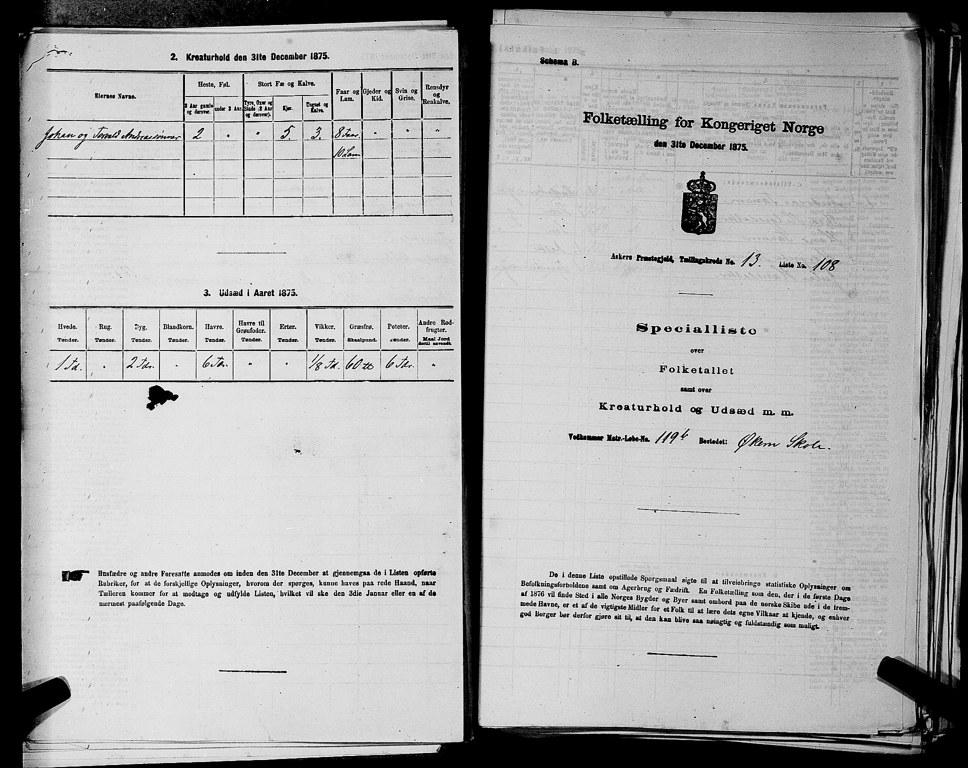 RA, 1875 census for 0220P Asker, 1875, p. 2494