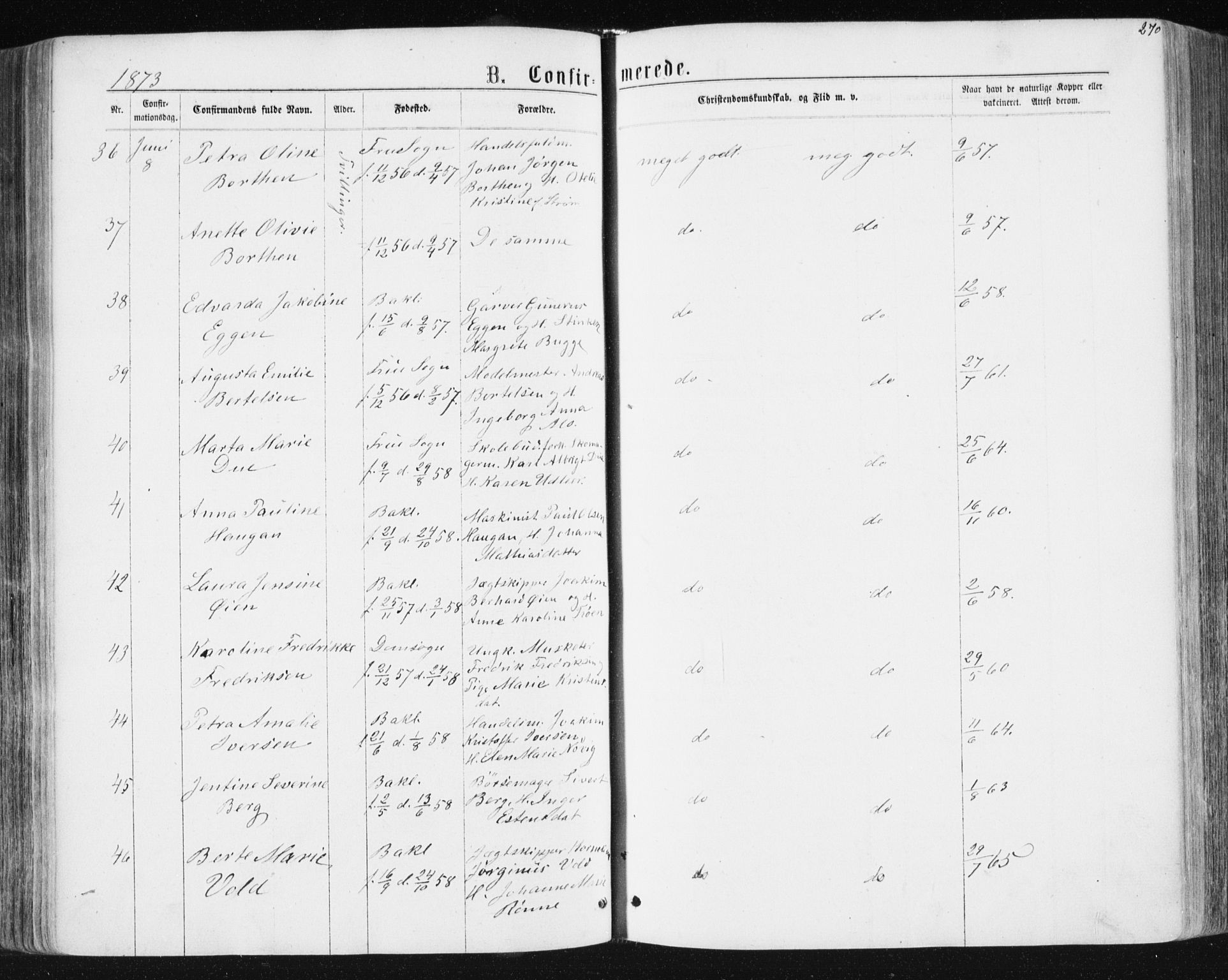 Ministerialprotokoller, klokkerbøker og fødselsregistre - Sør-Trøndelag, AV/SAT-A-1456/604/L0186: Parish register (official) no. 604A07, 1866-1877, p. 270